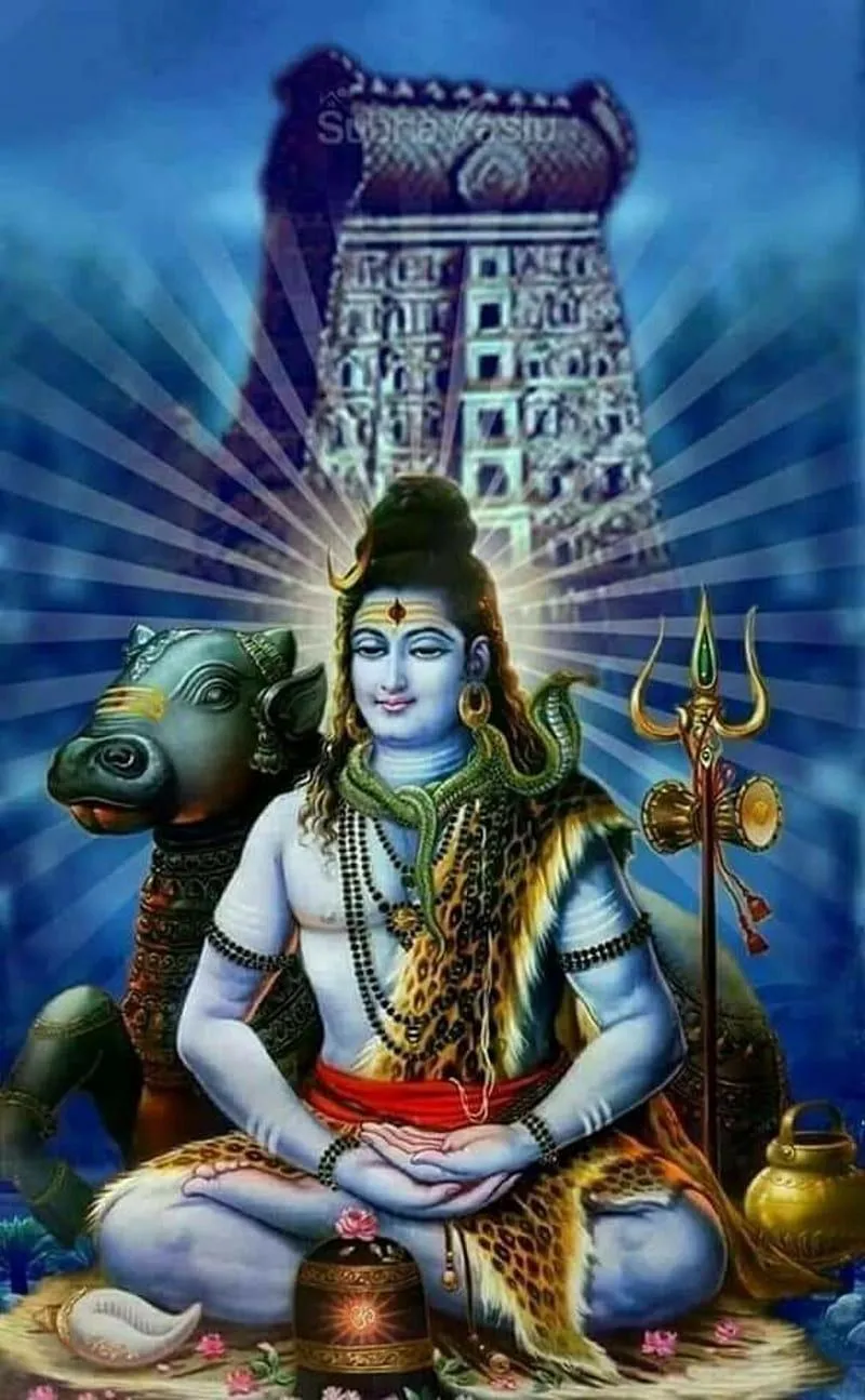 Lord Shiva, hindu god, HD phone wallpaper