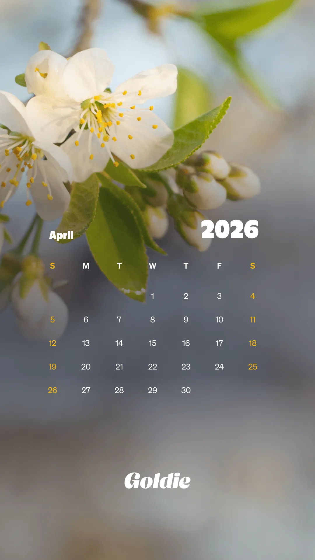 Free April 2026 Calendar Wallpaper
