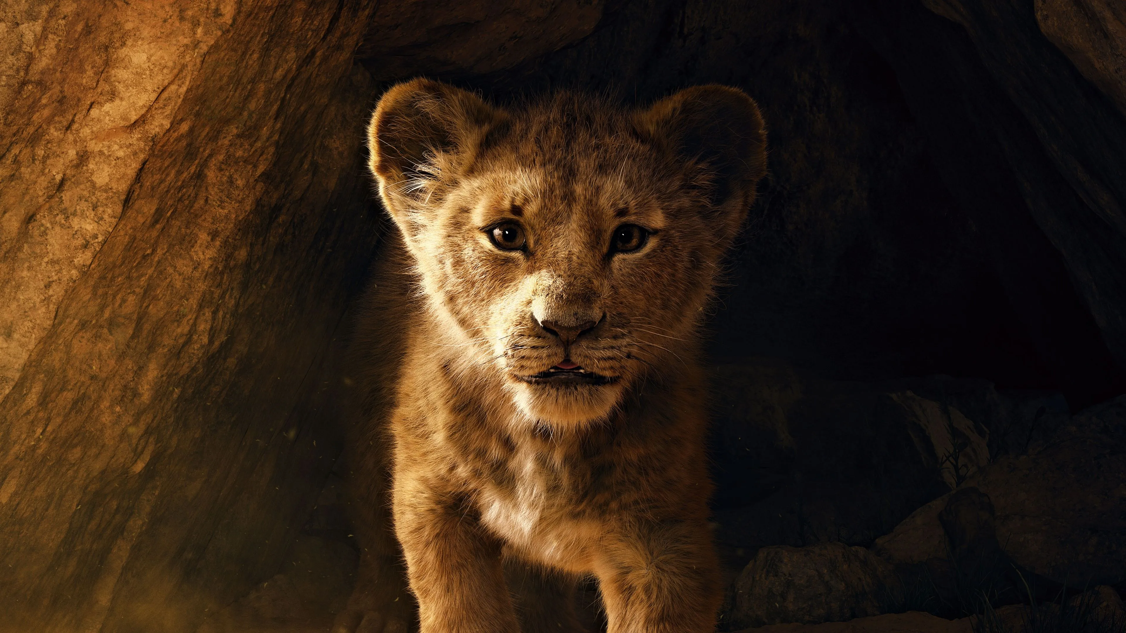 Simba Wallpaper 4K, The Lion King, Lion cub, 5K