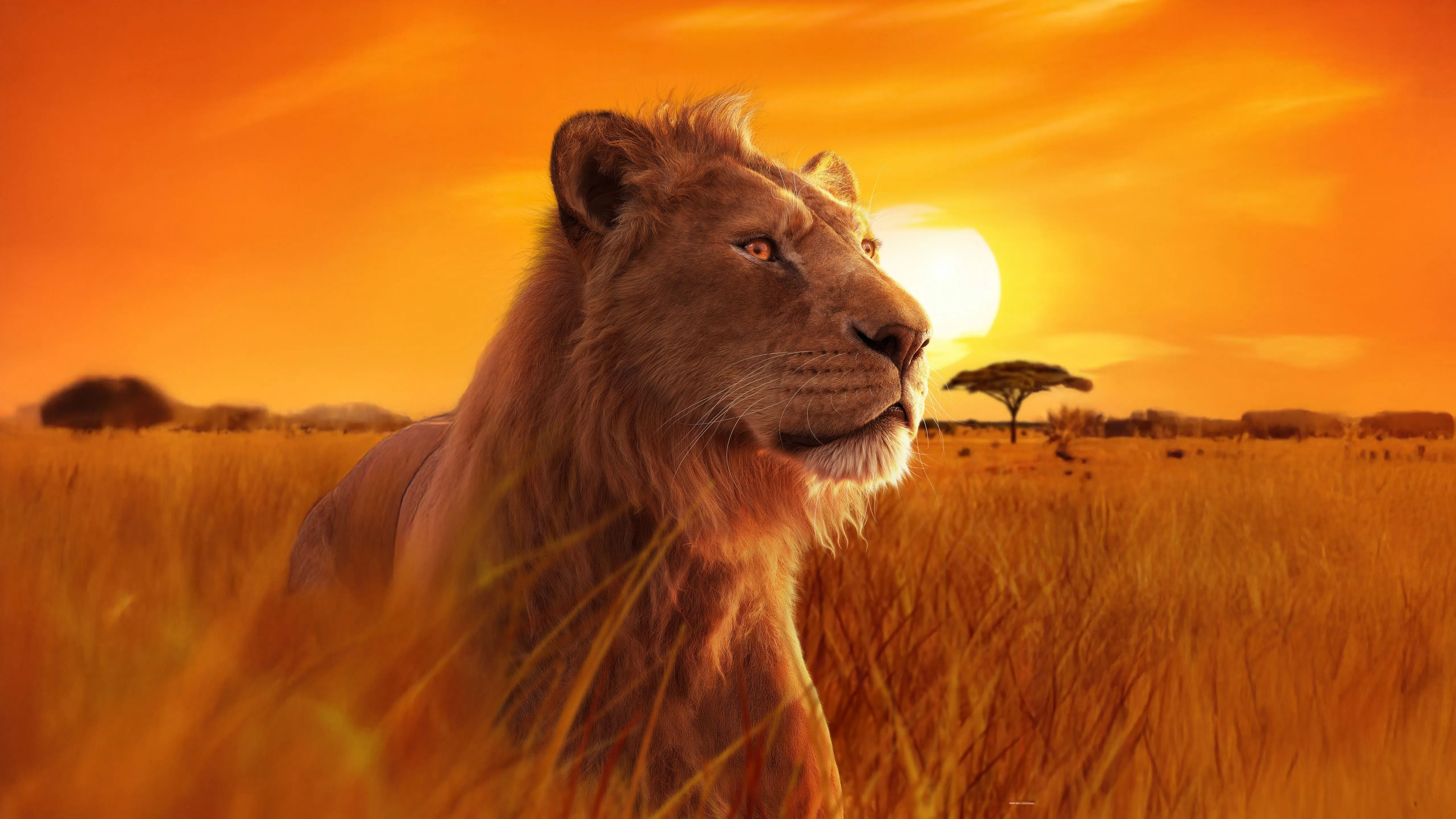 Mufasa Wallpaper 4K, 5K,, The Lion King, 2024 Movies