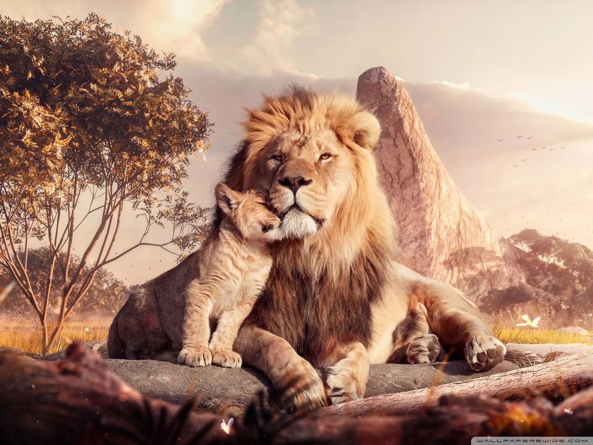 The Lion King 4K UHD Wallpaper for UltraHD Desktop and TV, Widescreen and UltraWide Display, Smartphone and Tablet Devices