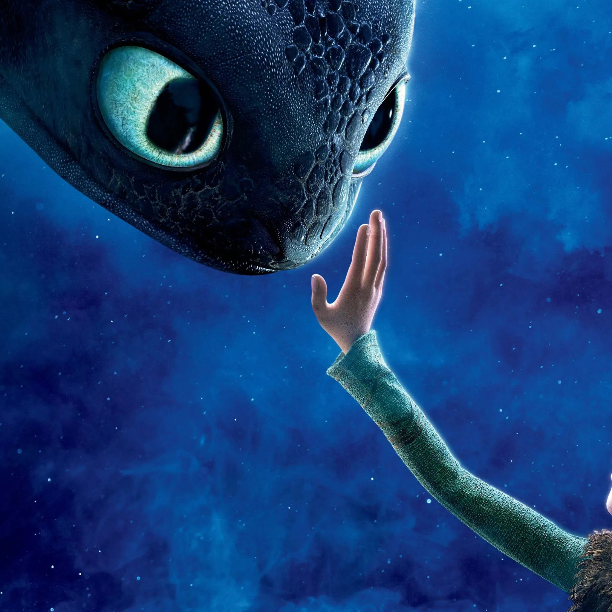 Toothless How To Train Your Dragon iPad Air , HD 4k Wallpaper Image, Background, Photos and Picture