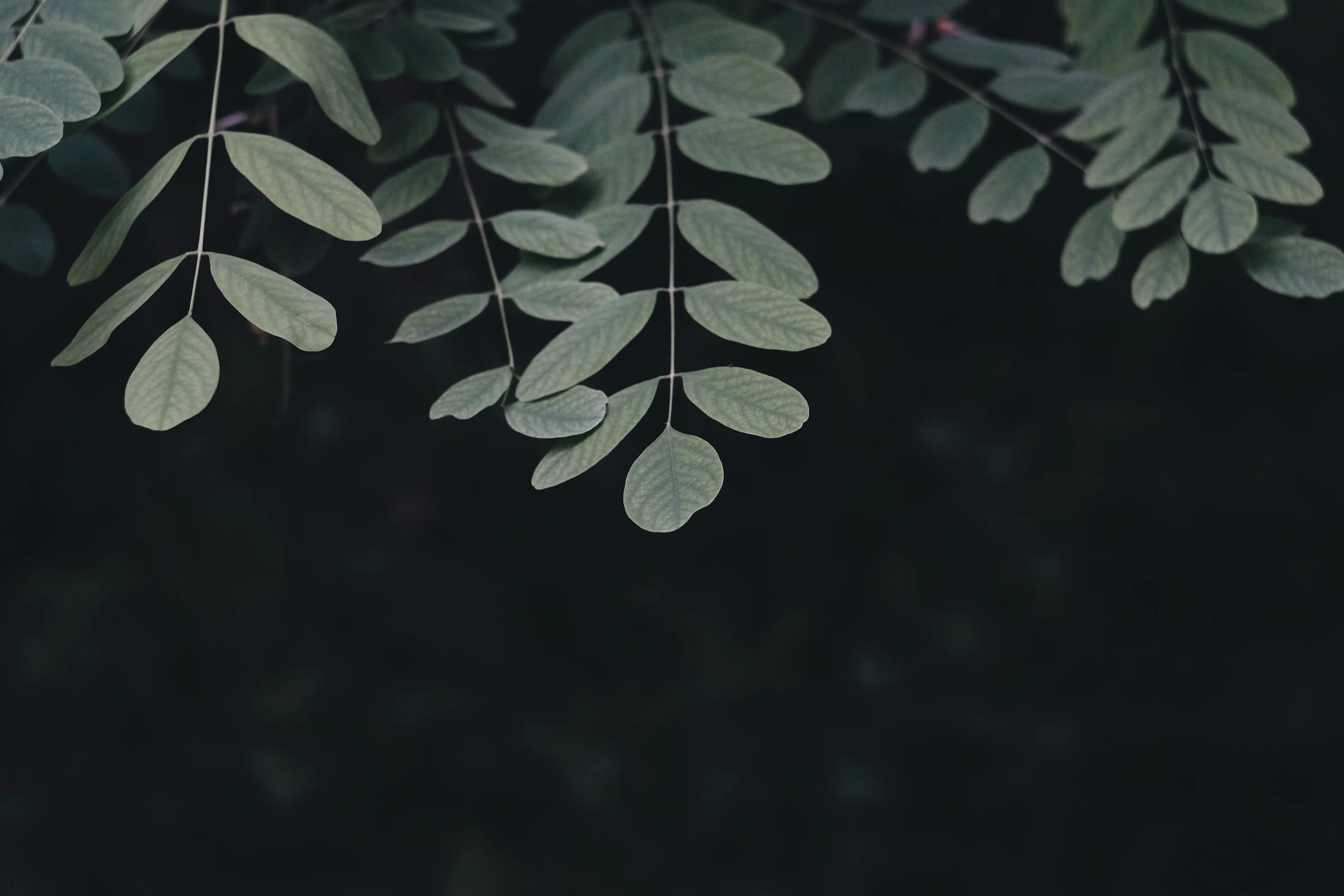 Minimalist Wallpaper: Free HD Download [4K]