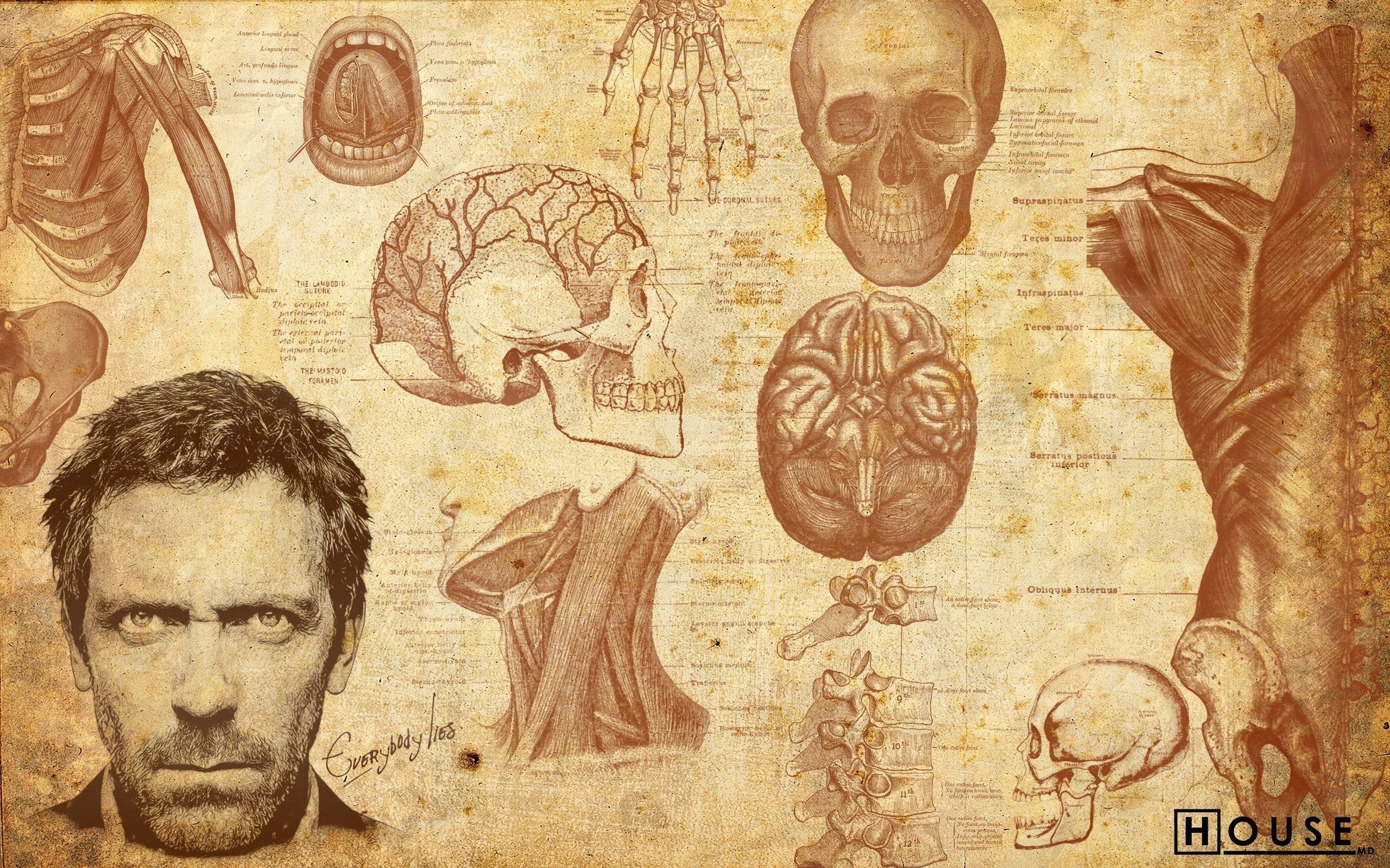 Dr. House illustration, men, artwork, Gregory House, actor HD wallpaper