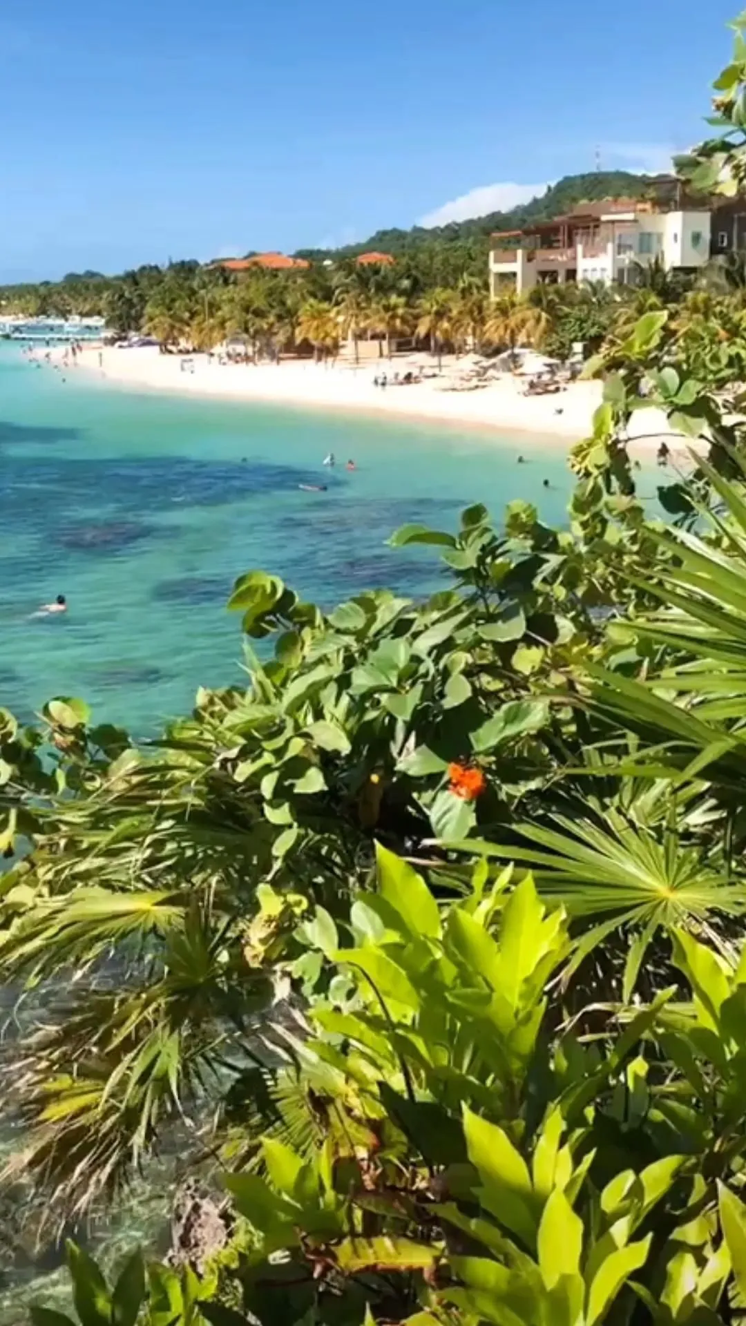 Roatan Wallpaper