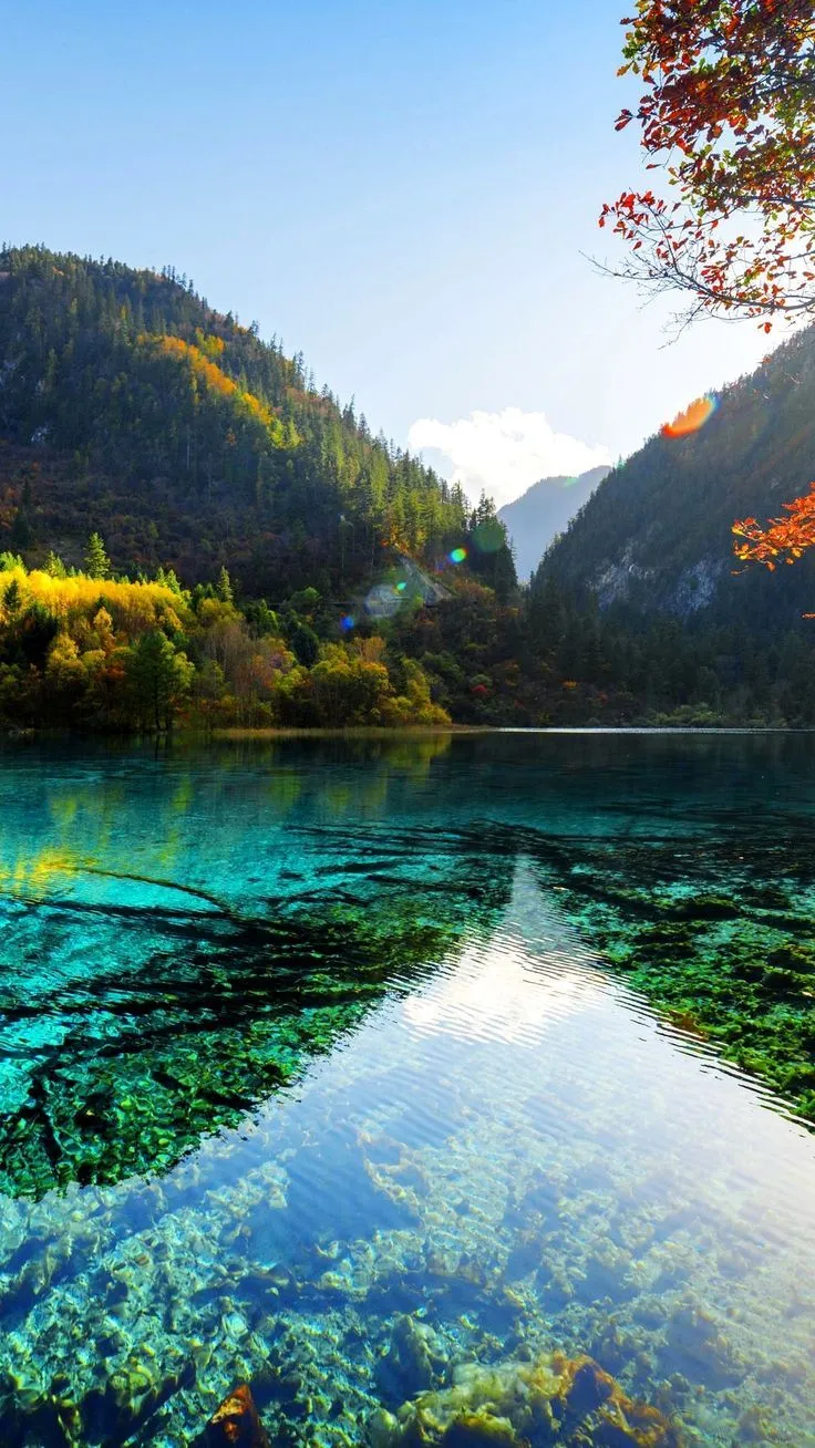 4K Wallpaper Nature For iPhone Ideas