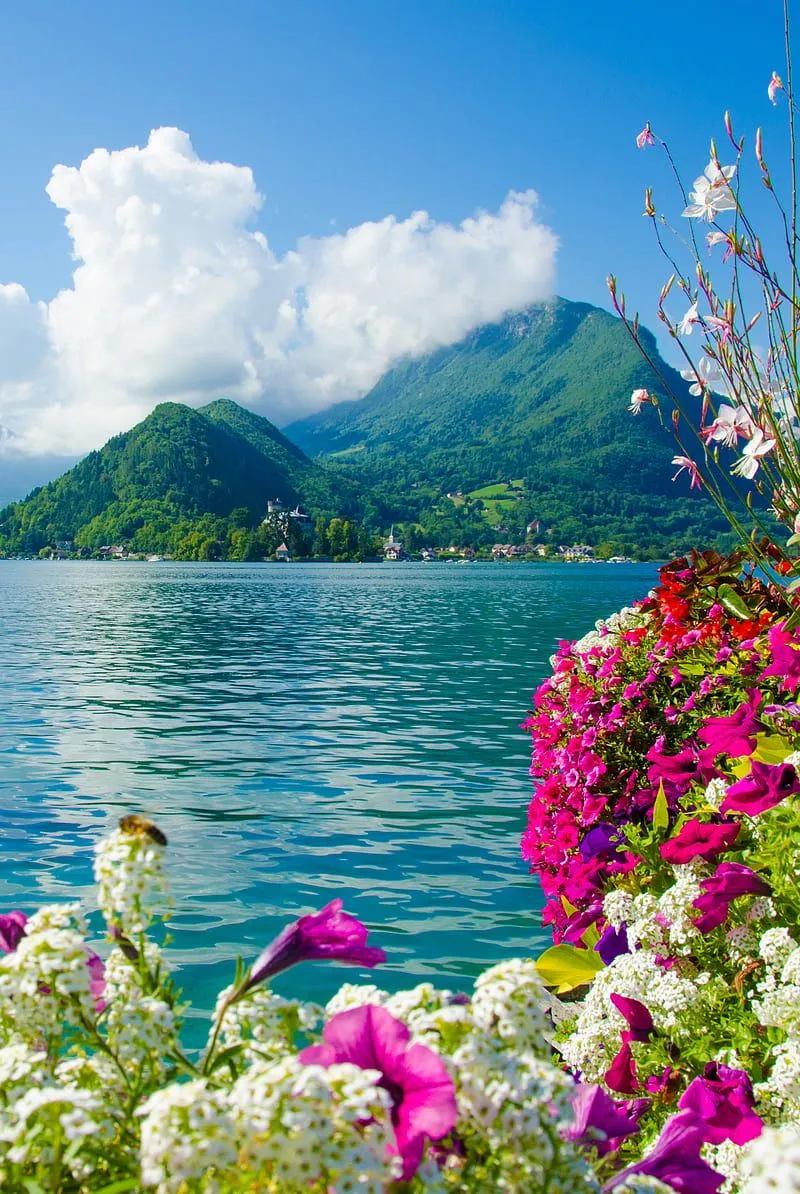 Mountains, blossom, cloud, landscape, mountain, nature, summer, HD phone wallpaper