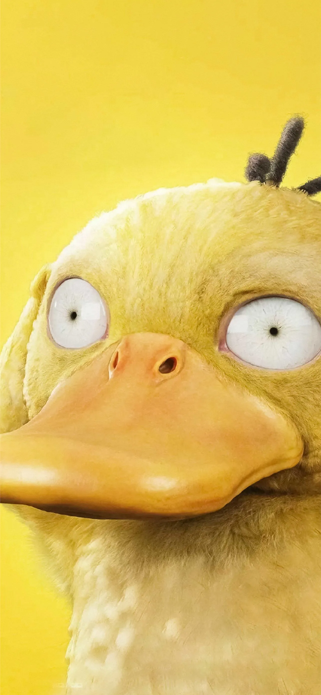 psyduck HD iPhone Wallpaper Free Download