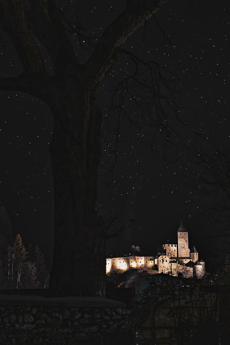 brown, castle, starry sky, architecture, dark, evening, HD wallpaper, mobile wallpaper
