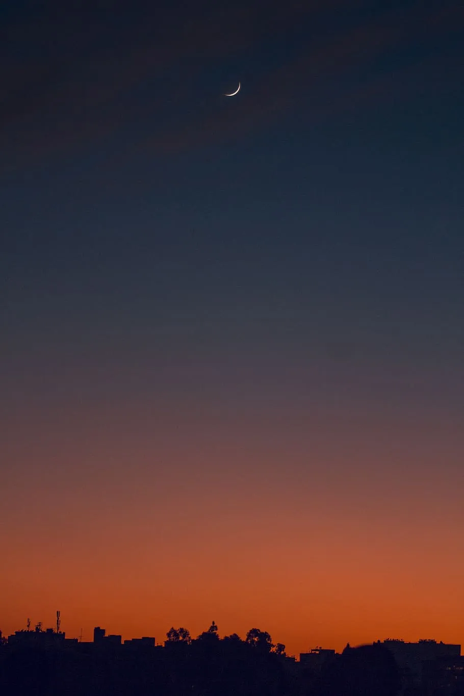 silhouette, trees, sunset, backlit, dark, dawn, evening, wallpaper