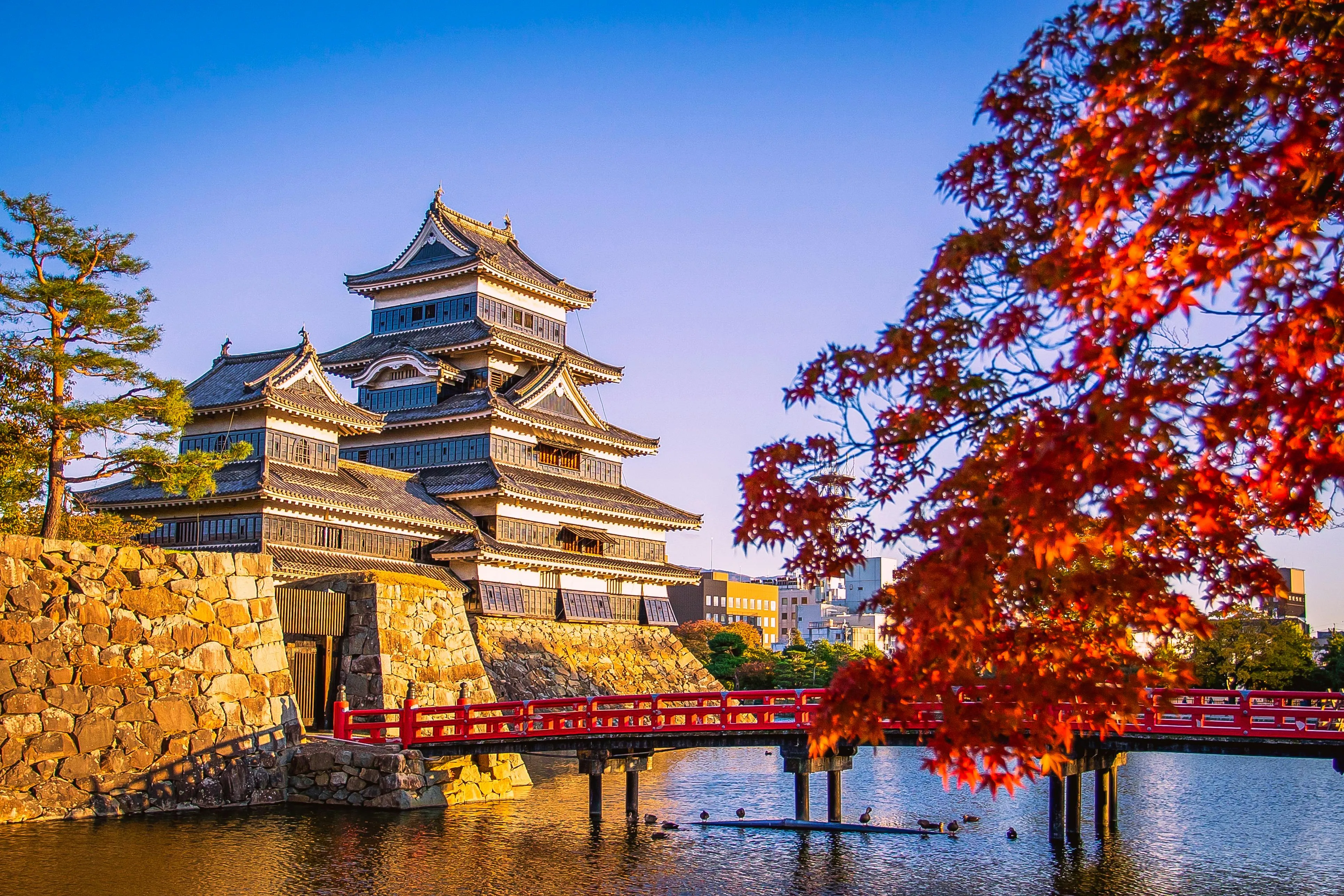 Pagoda Temple Near Lake Under Cloudy Sky · Free