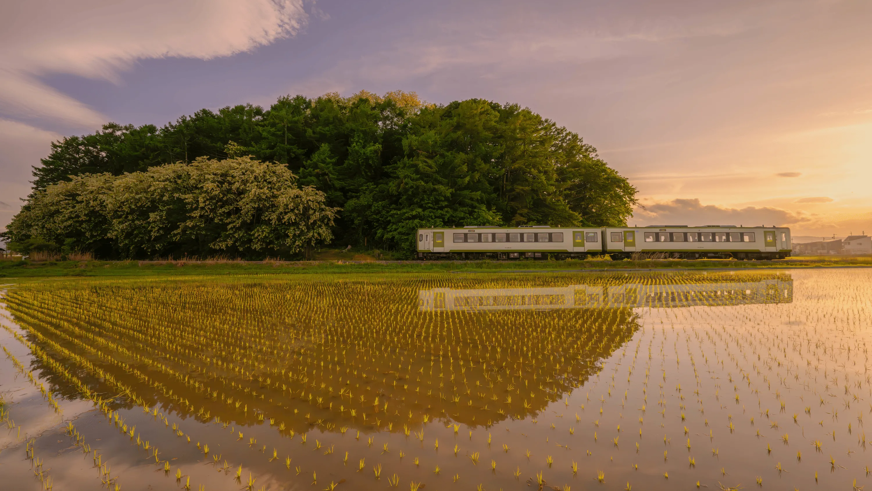 Free HD Train With Wallpaper