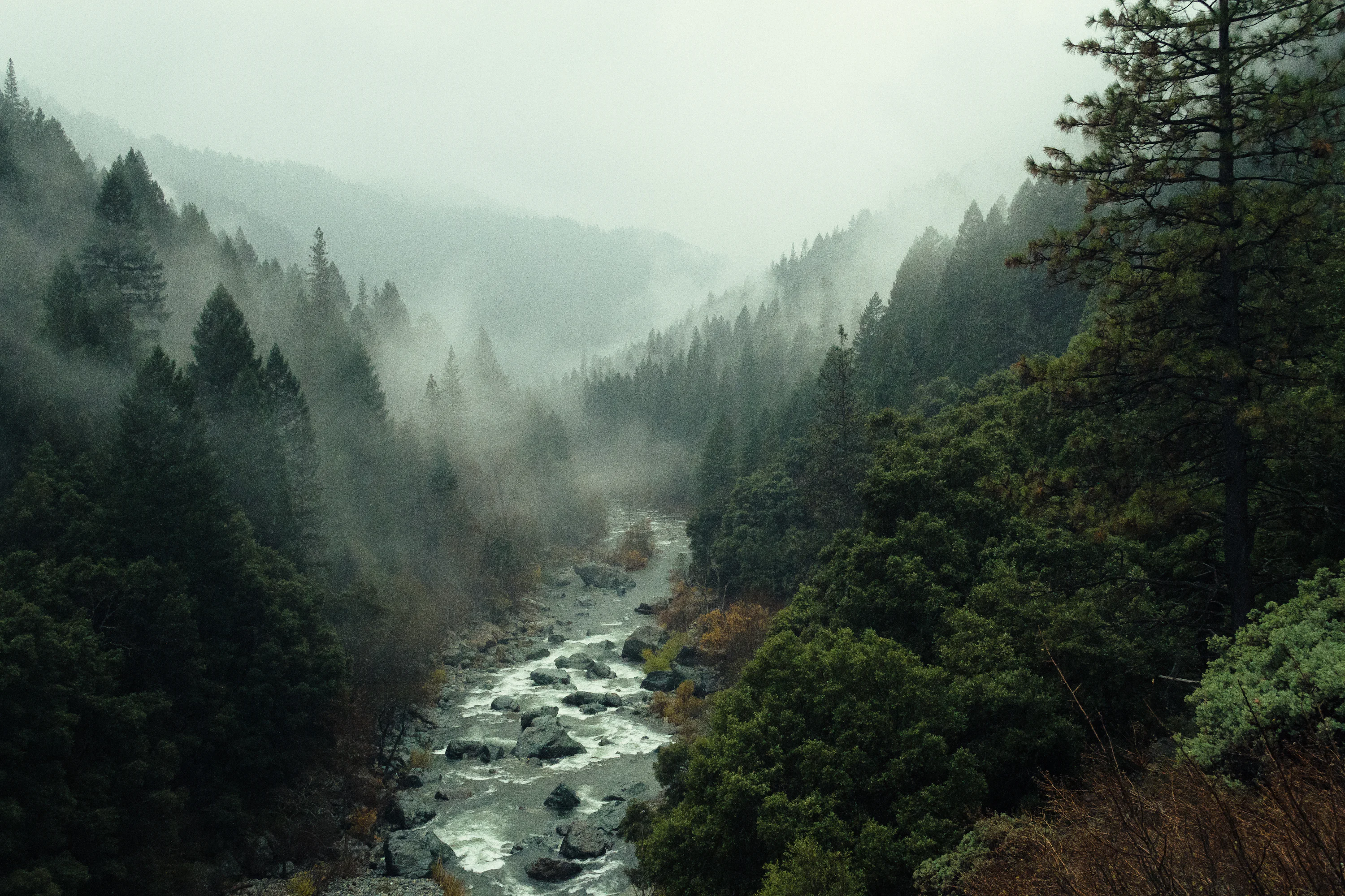 Moody Nature Picture. Download Free Image