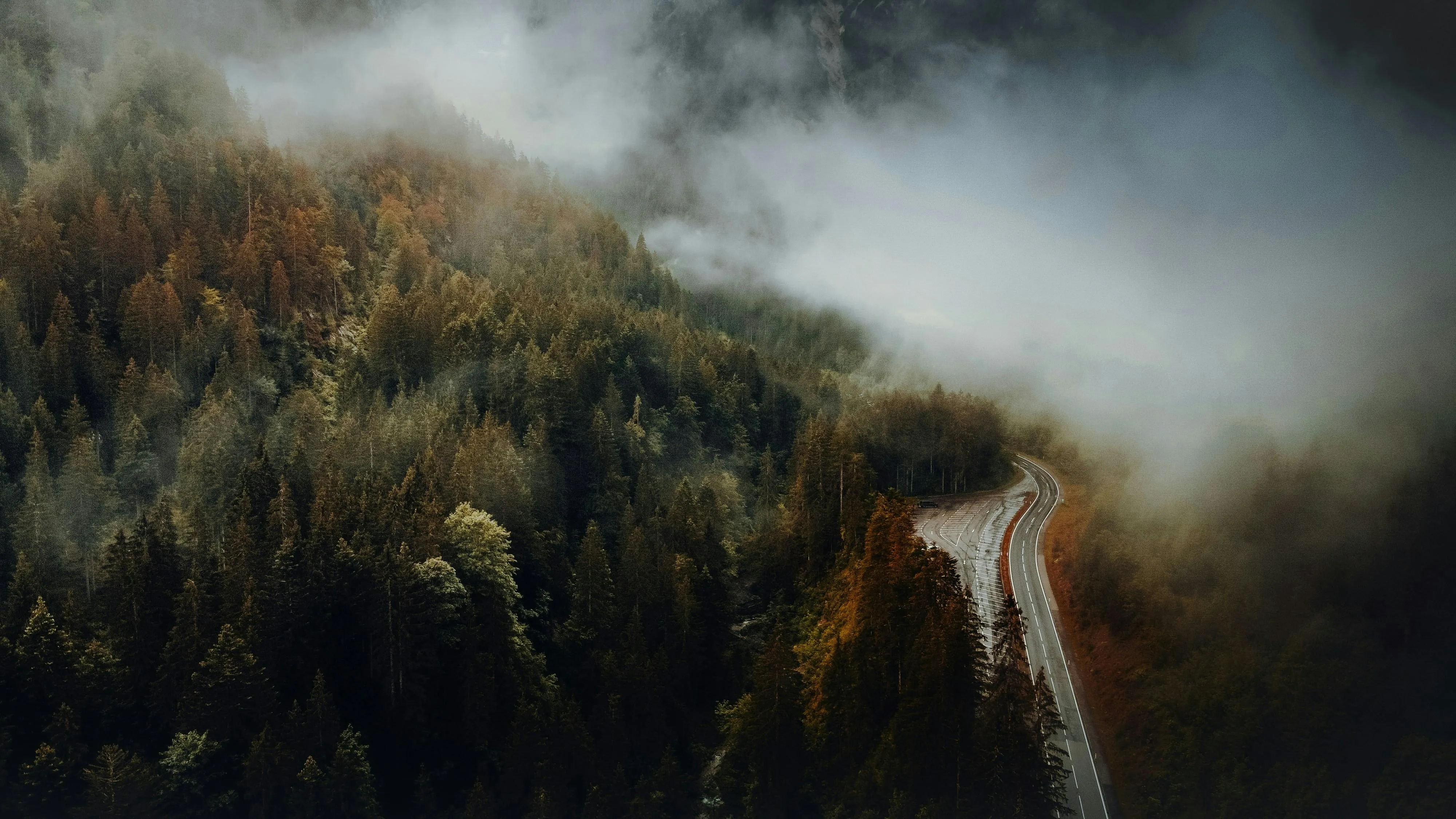 Moody Autumn Forest Road in Austrian Alps · Free