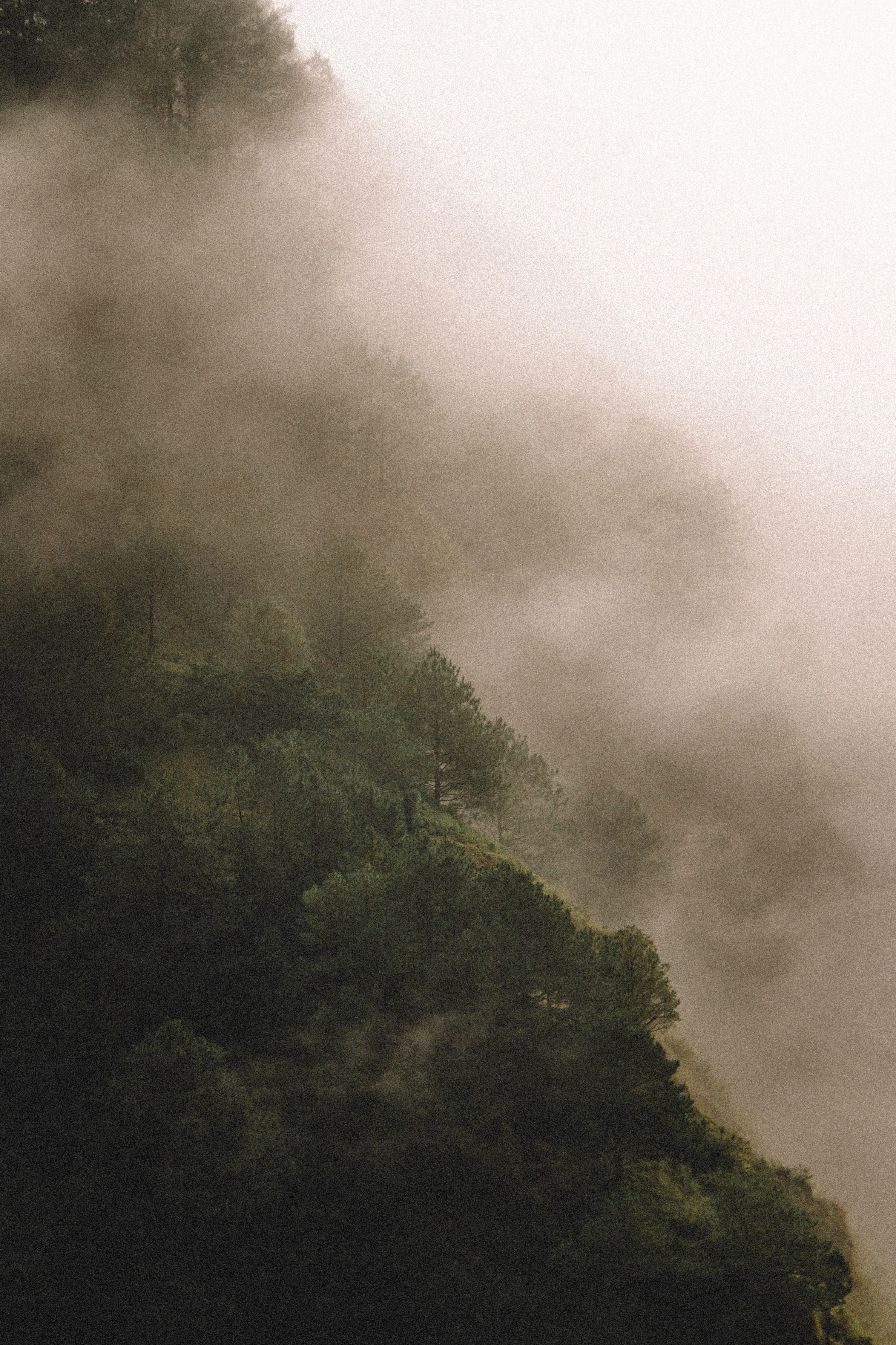 Moody Nature Picture. Download Free Image