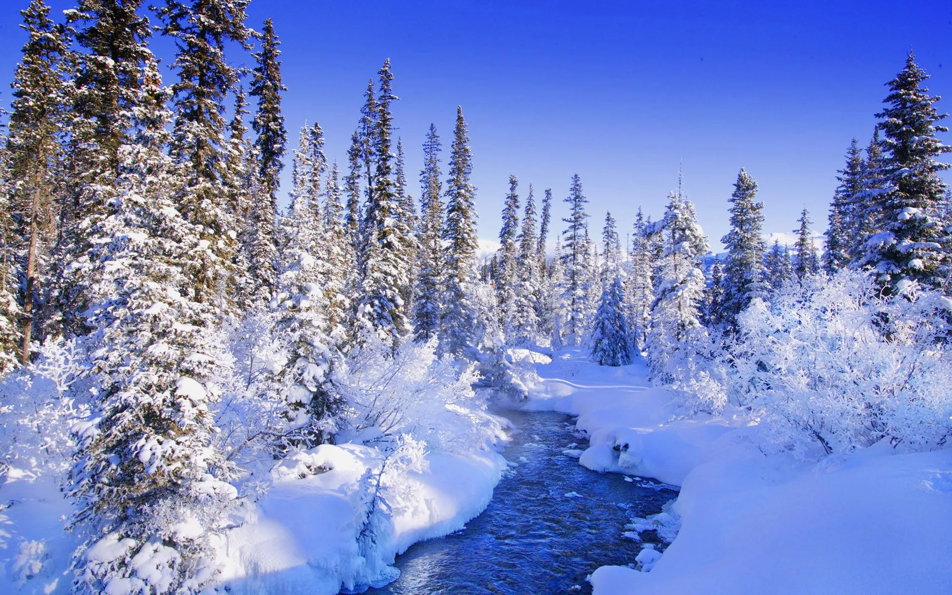 Winter Forest River Desktop wallpaper 1280x800