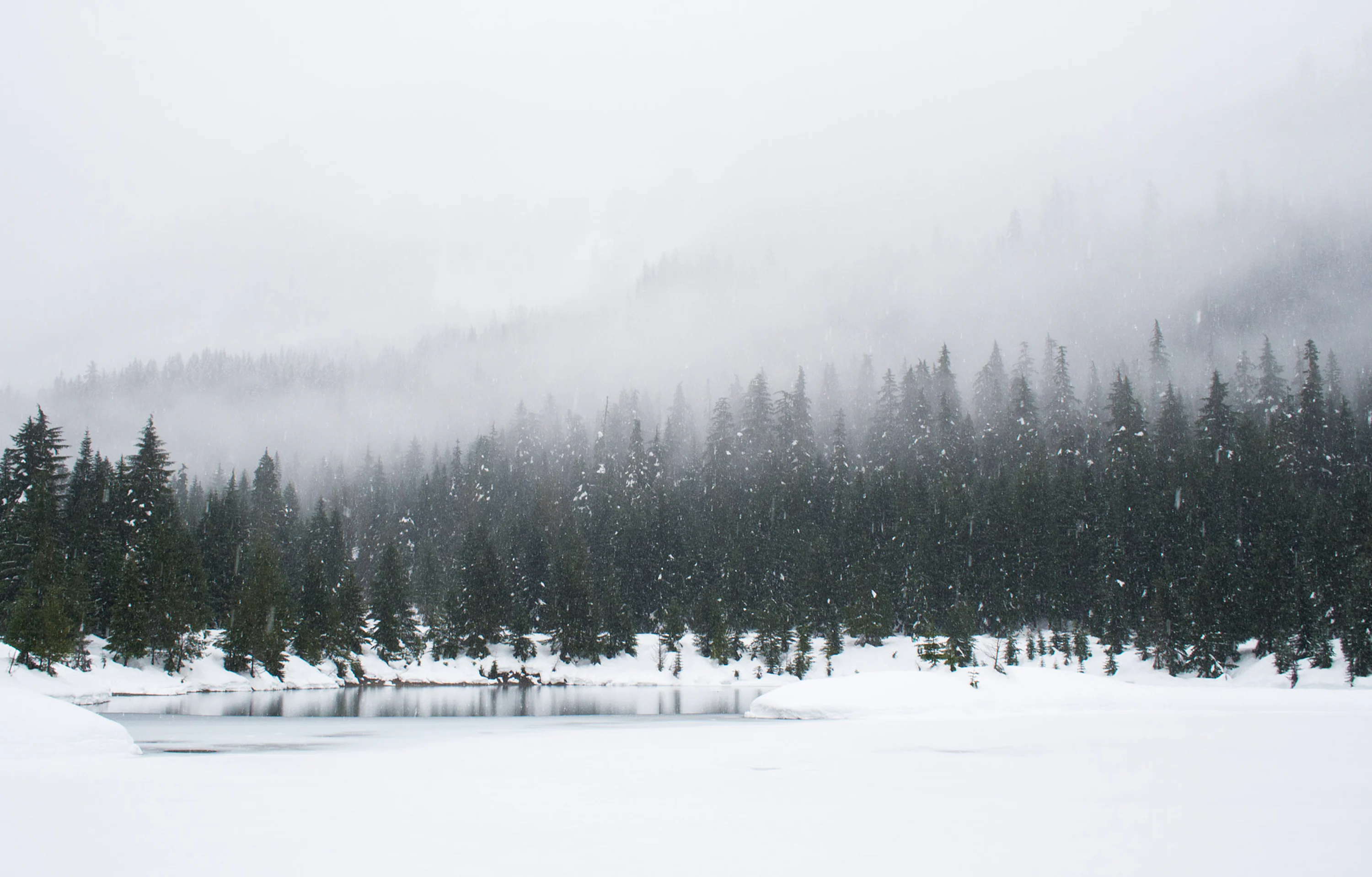 Snow Wallpaper: Free HD Download [4K]