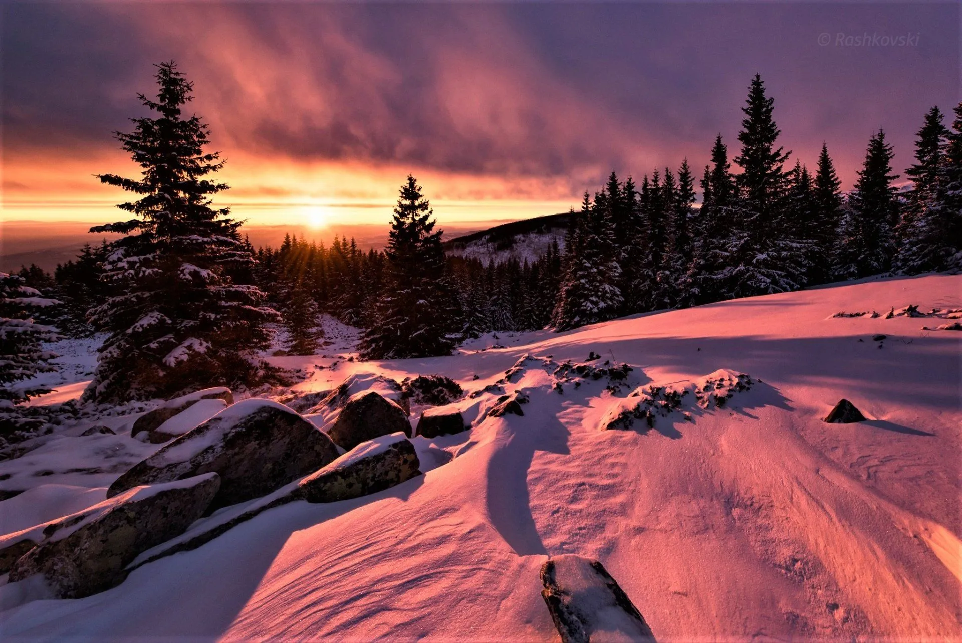 Winter Sunset Serenity: Snowy Forest HD Landscape Wallpaper