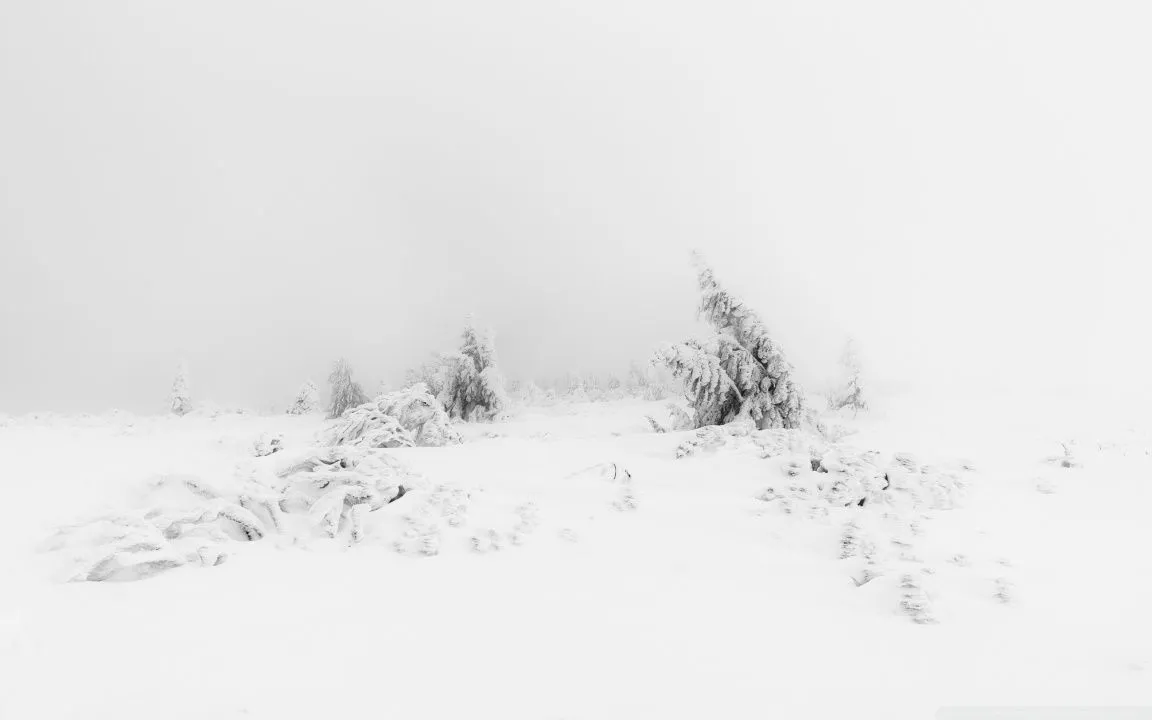 Winter Fog White Snow Trees Aesthetic 4K UHD Wallpaper for UltraHD Desktop and TV, Widescreen and UltraWide Display, Dual Monitor, Smartphone and Tablet Devices