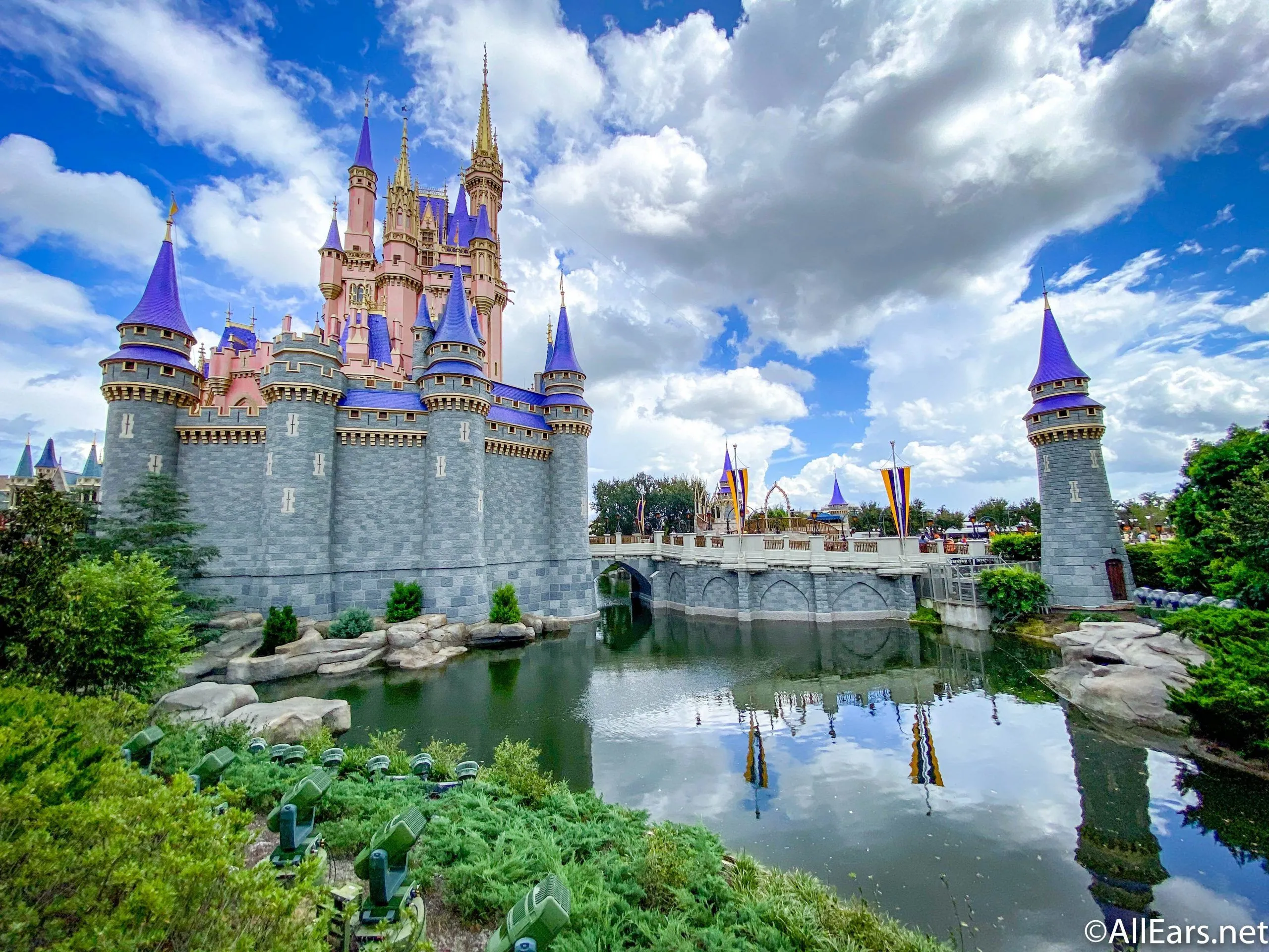 Cinderella Castle Landscape Wallpaper