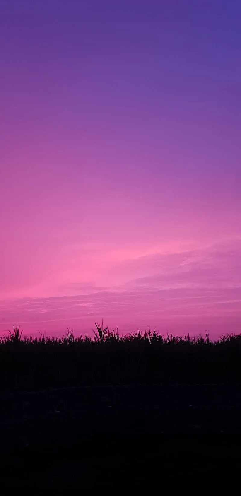 HD purple sunset scene wallpaper