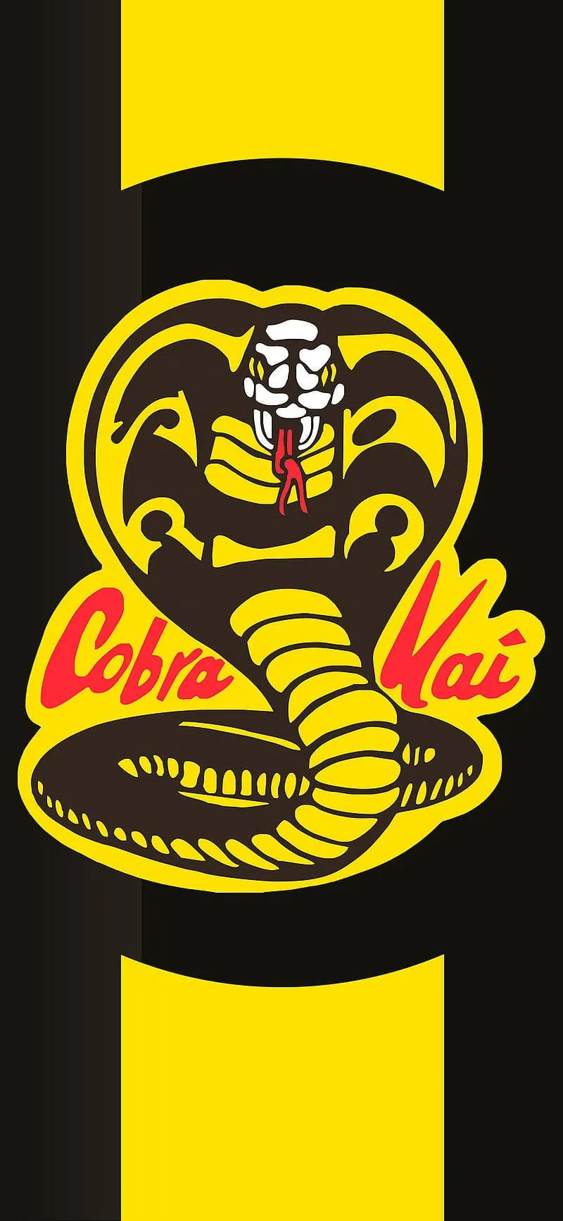 Download Experience the Power of the Cobra Kai brand with the new Cobra Kai Phone Wallpaper