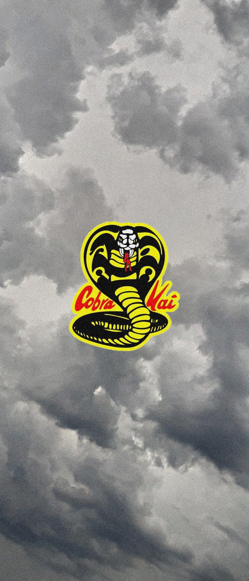 Cobra Kai ideas, cobra kai iphone 11 HD phone wallpaper