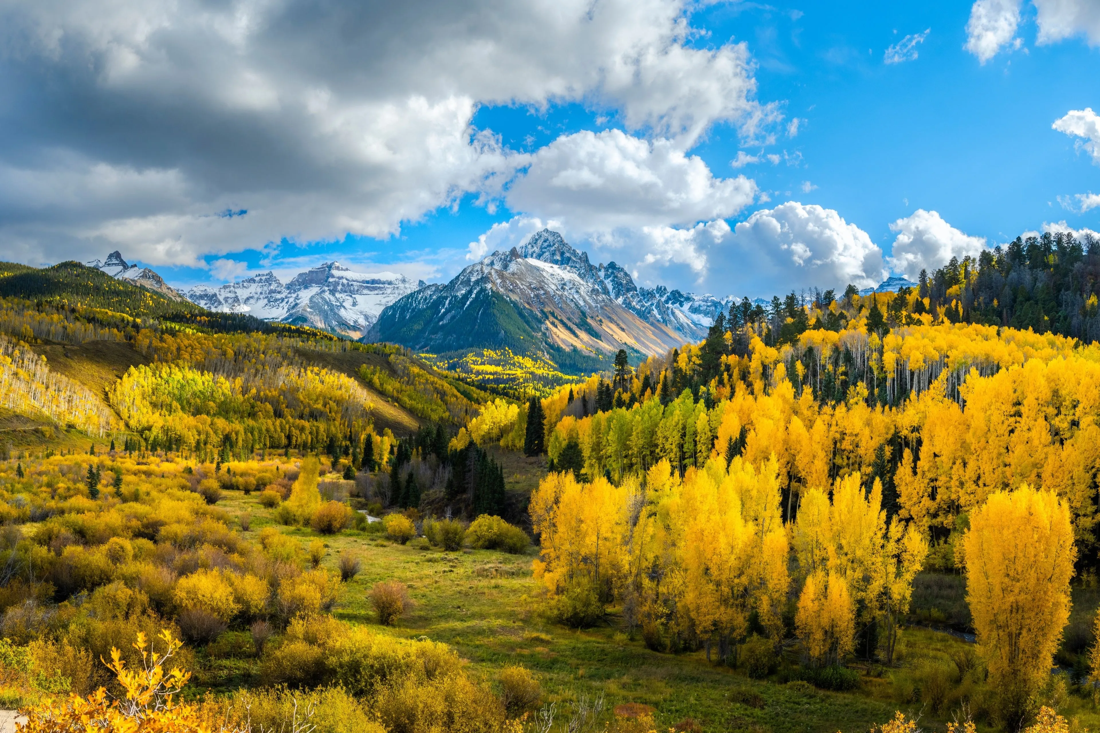 Yellow Forest Landscape 4k Mountains Wallpaper, HD Nature 4K Wallpaper, Image and Background