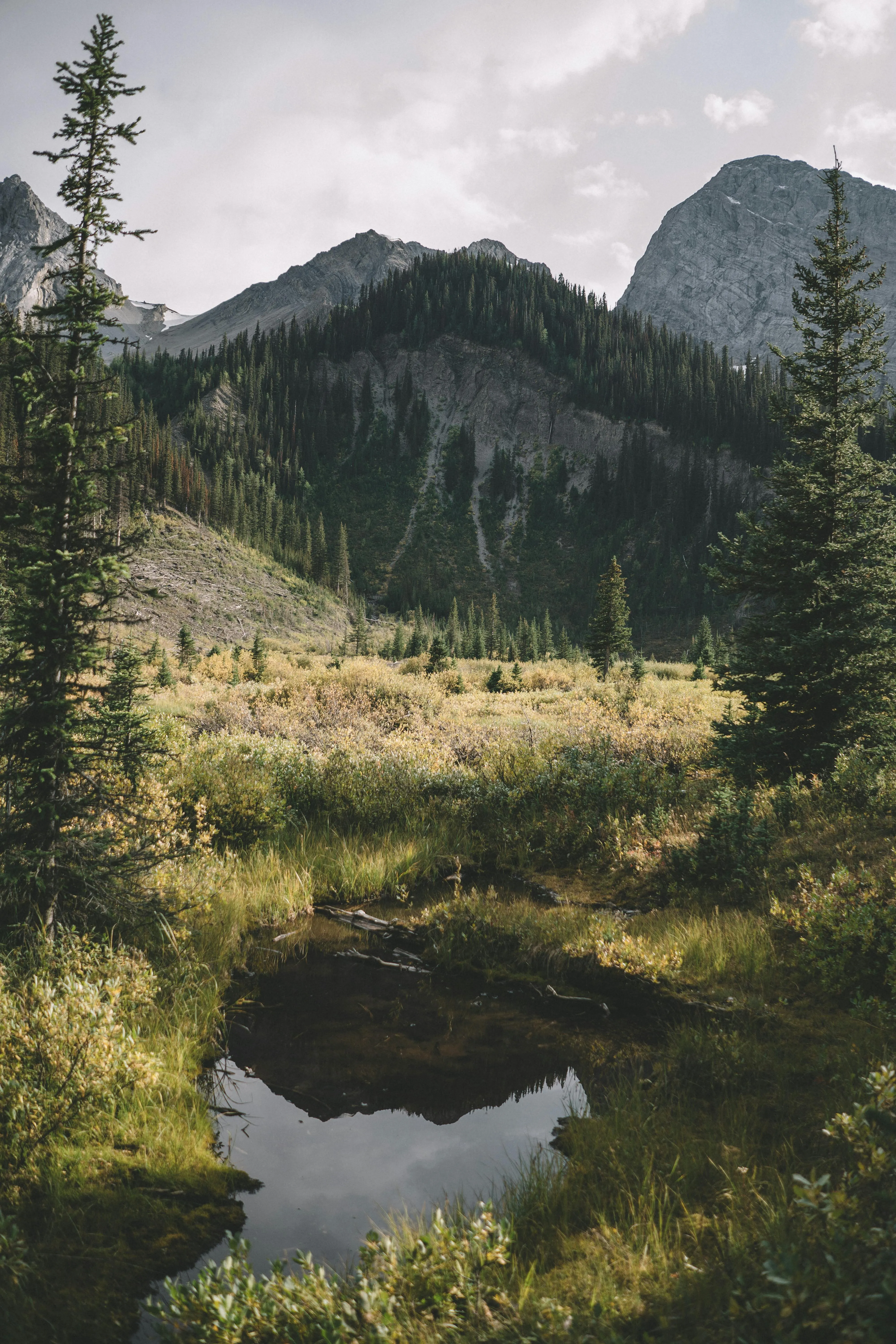 Serene Mountain Landscape with Reflection Pond · Free