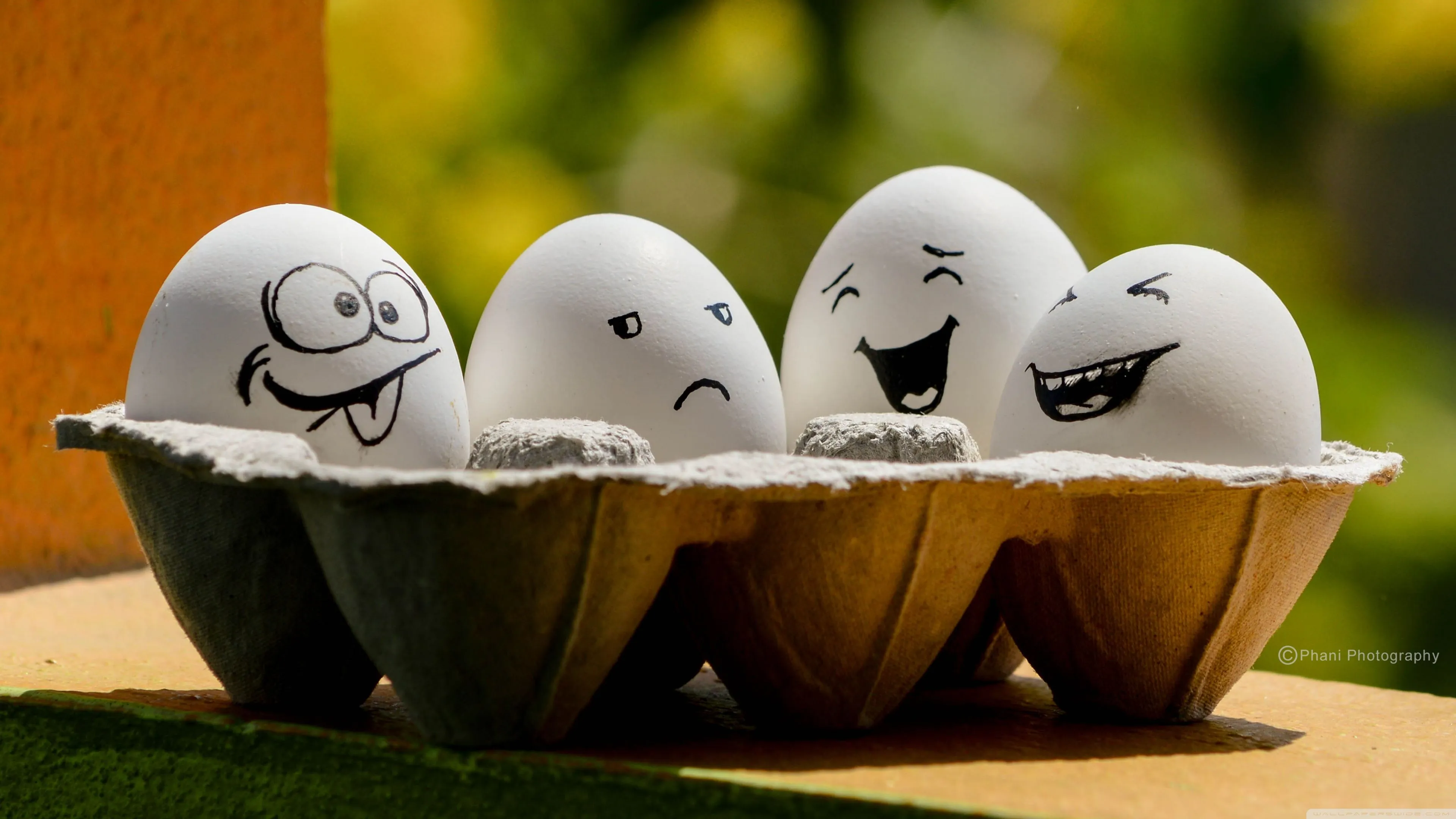 Funny Eggs 4K UHD Wallpaper for UltraHD Desktop and TV, Dual Monitor, Smartphone and Tablet Devices