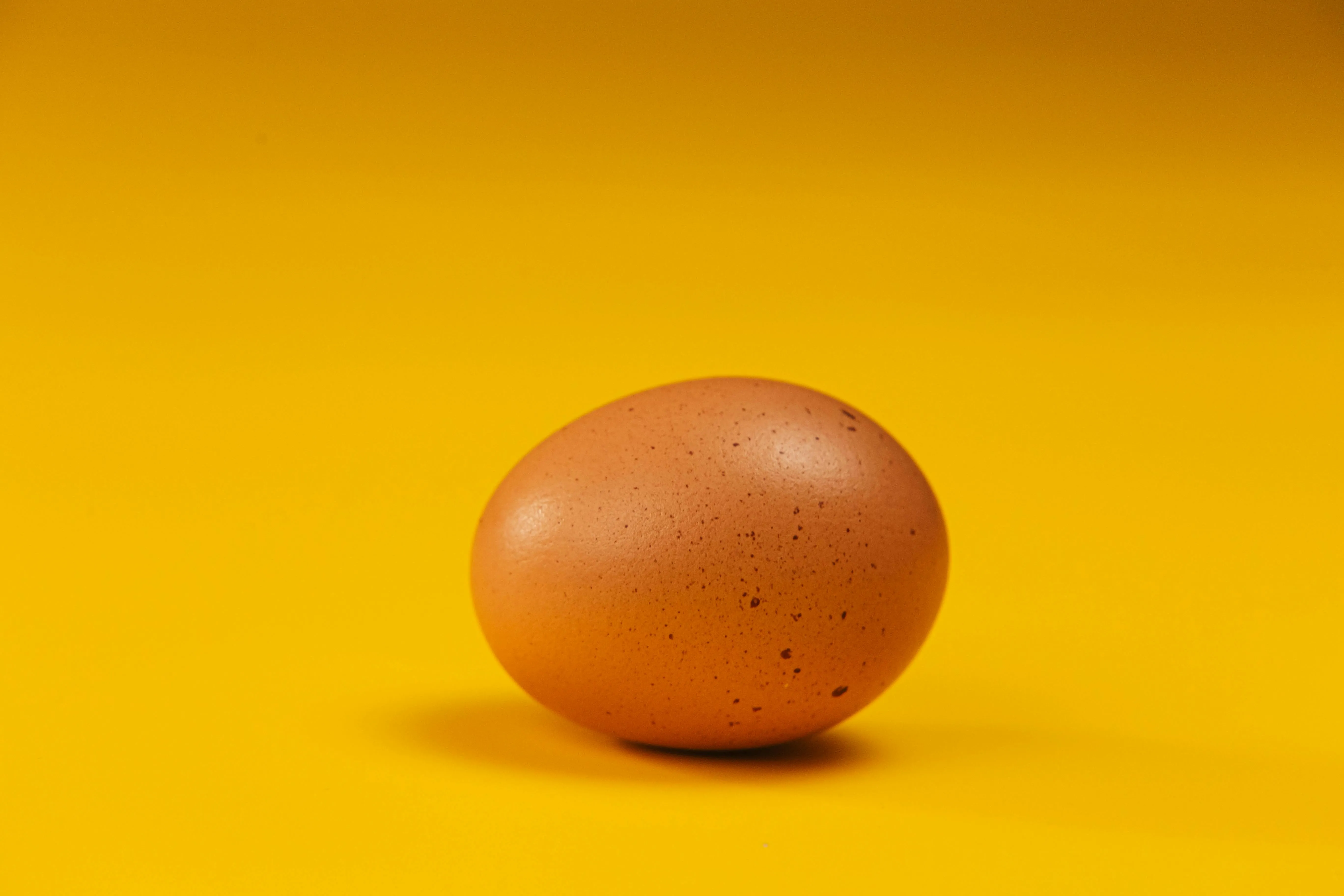 10,Best Egg Photo · 100% Free Downloads