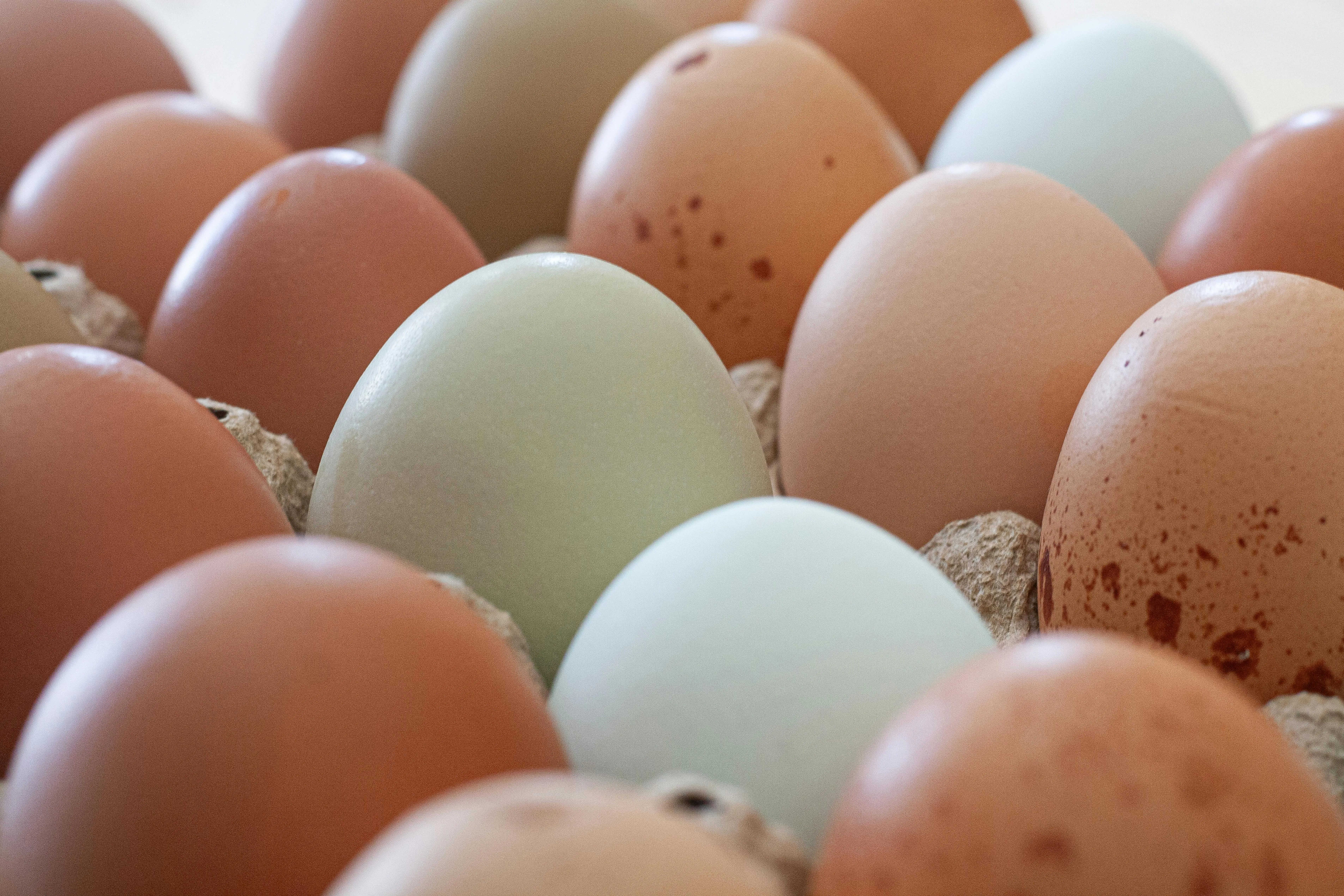 Eggs Photo, Download The BEST Free Eggs & HD Image
