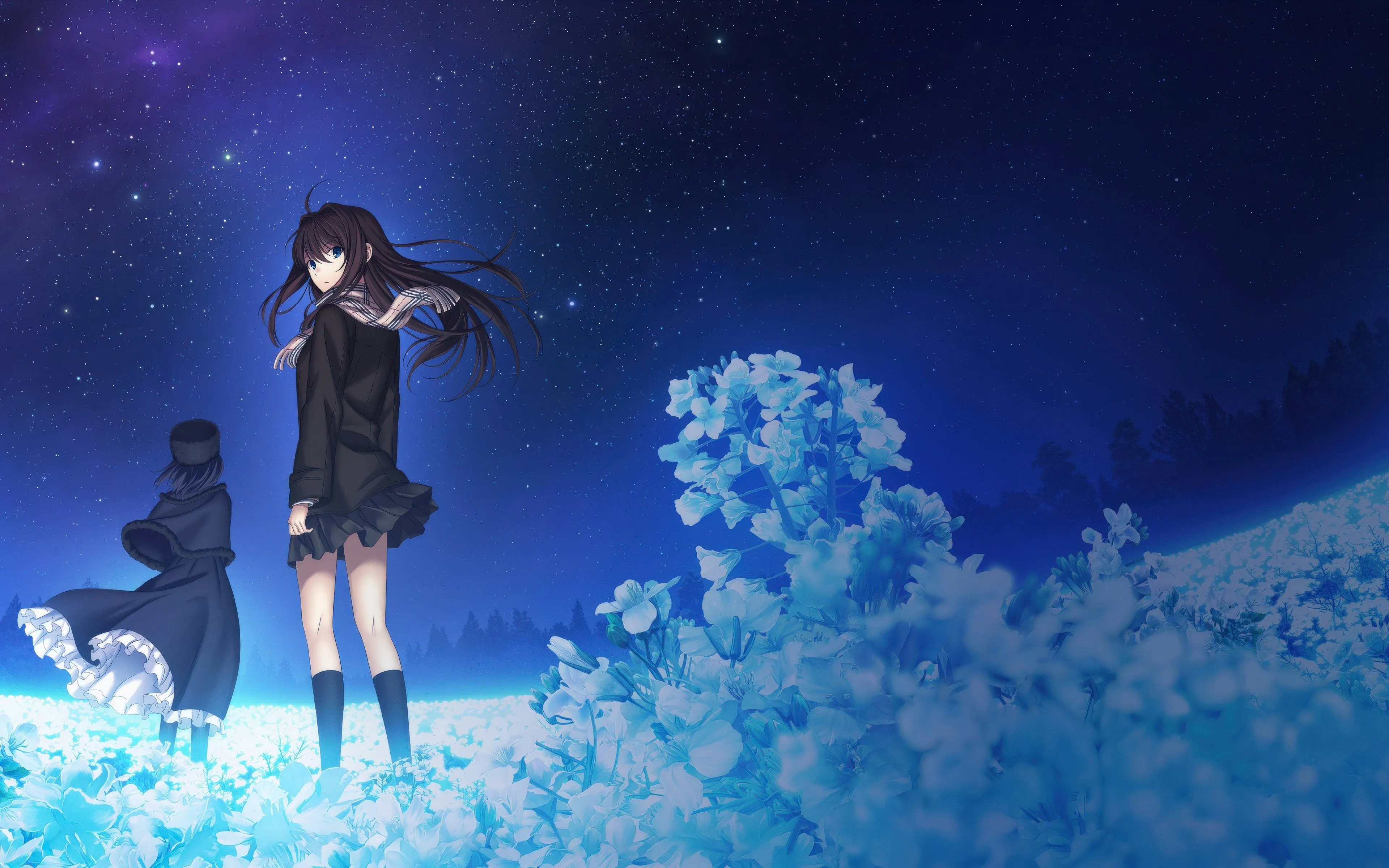 Anime HD Wallpaper and 4K Background