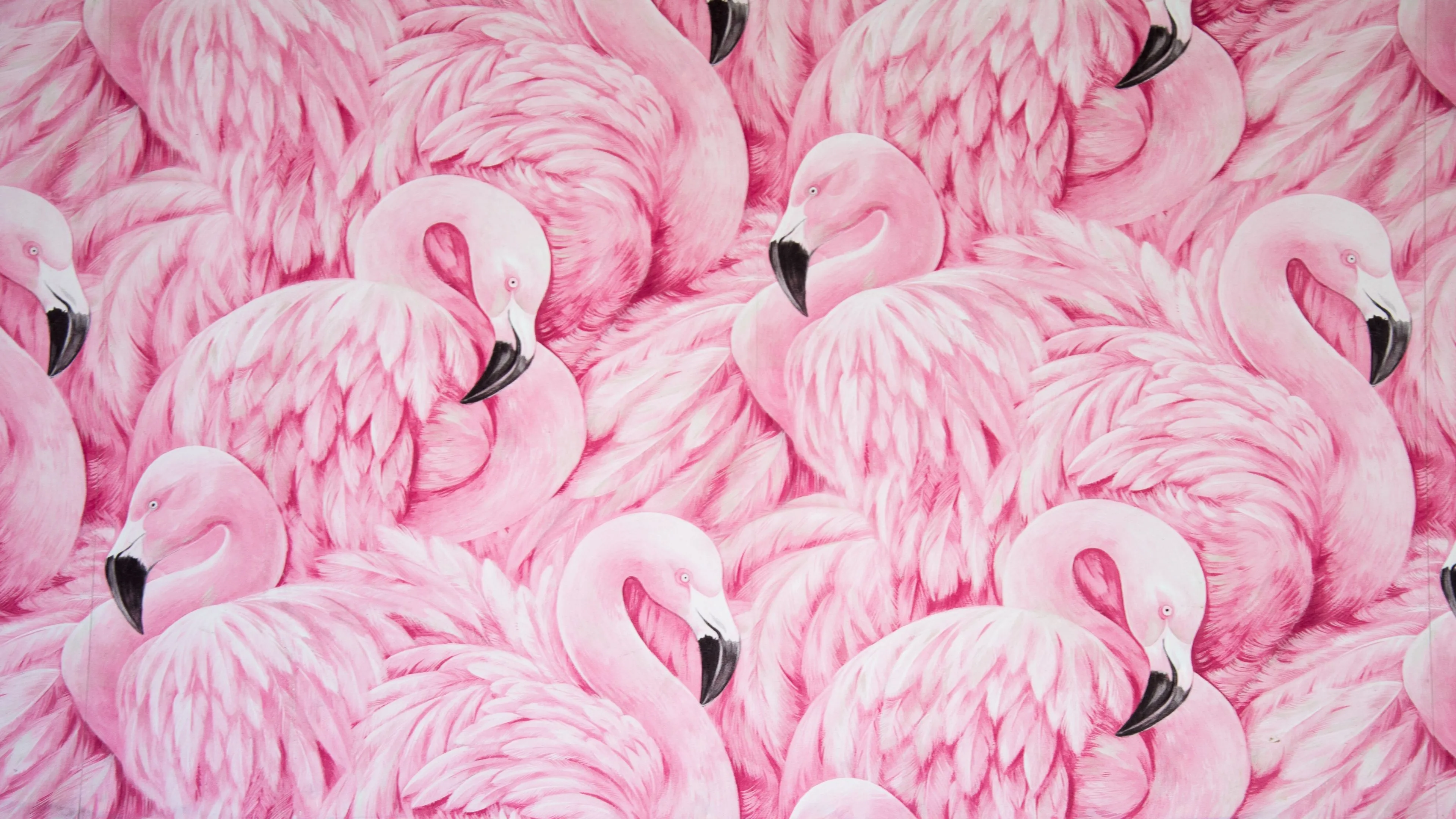 Pink Flamingos Wallpaper 4K, Painting, Feathers, Beautiful