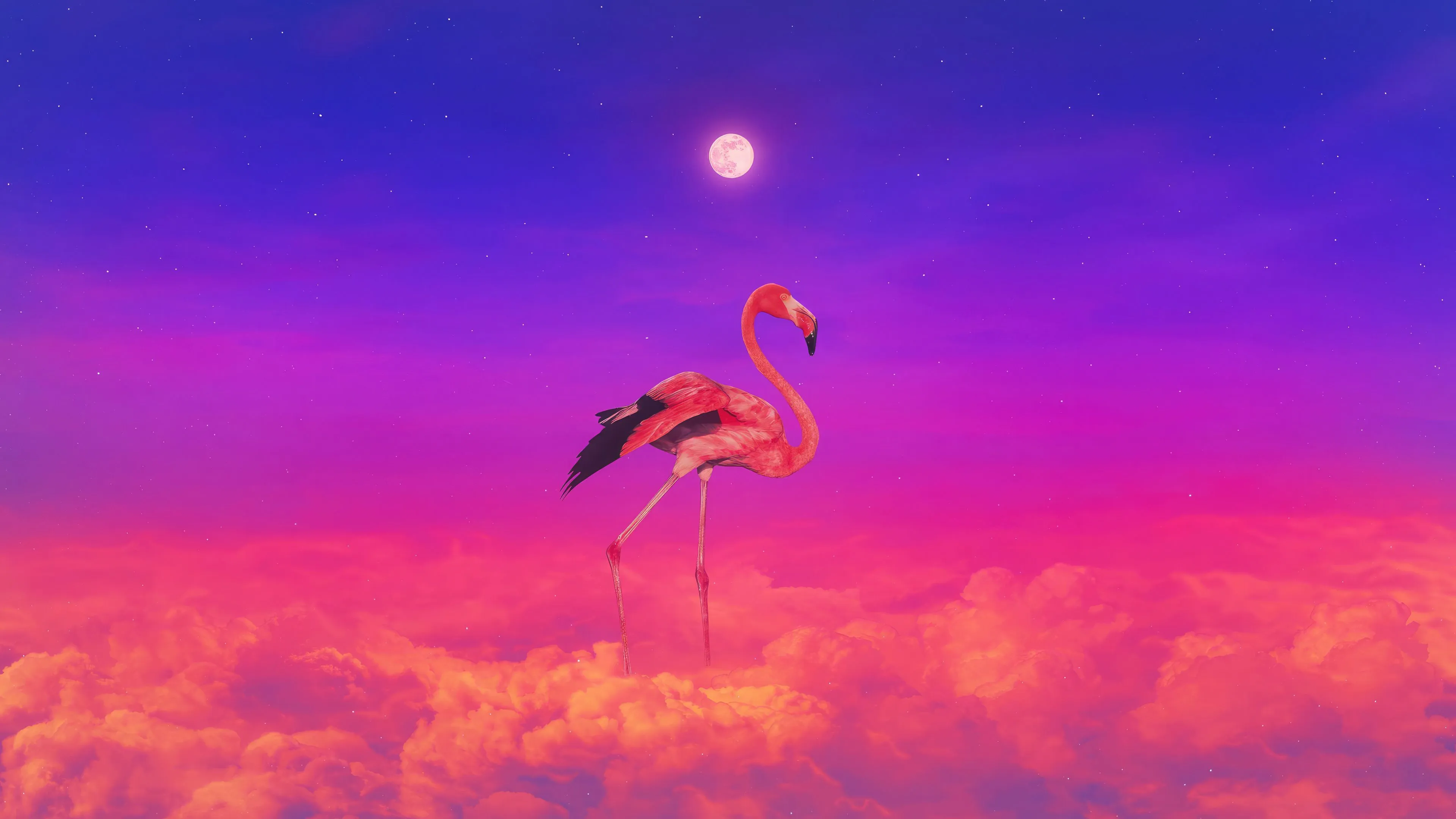 Flamingo Colorful 4k Wallpaper, HD Artist Wallpaper, 4k Wallpaper, Image, Background, Photos and Picture
