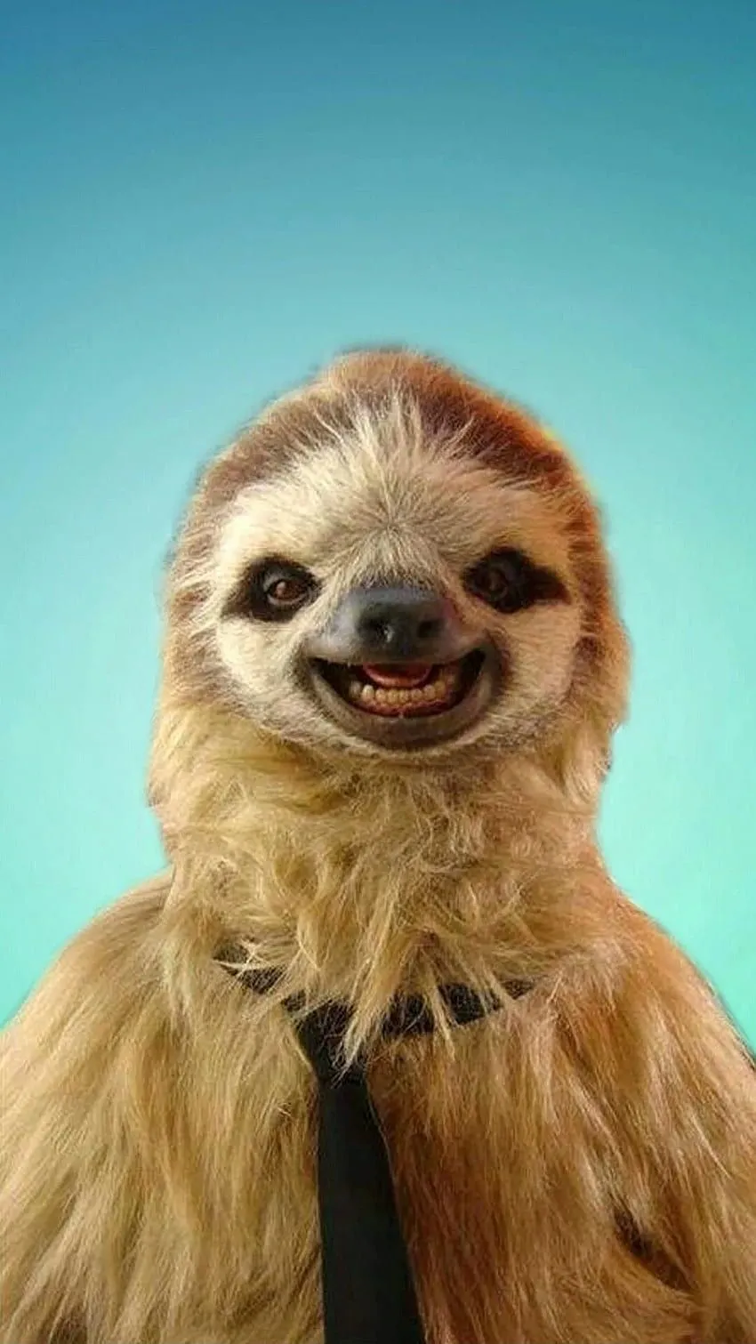 Sloth! A cute sloth phone I made. Smiling animals, Happy animals, Sloth, Funny Sloth HD phone wallpaper