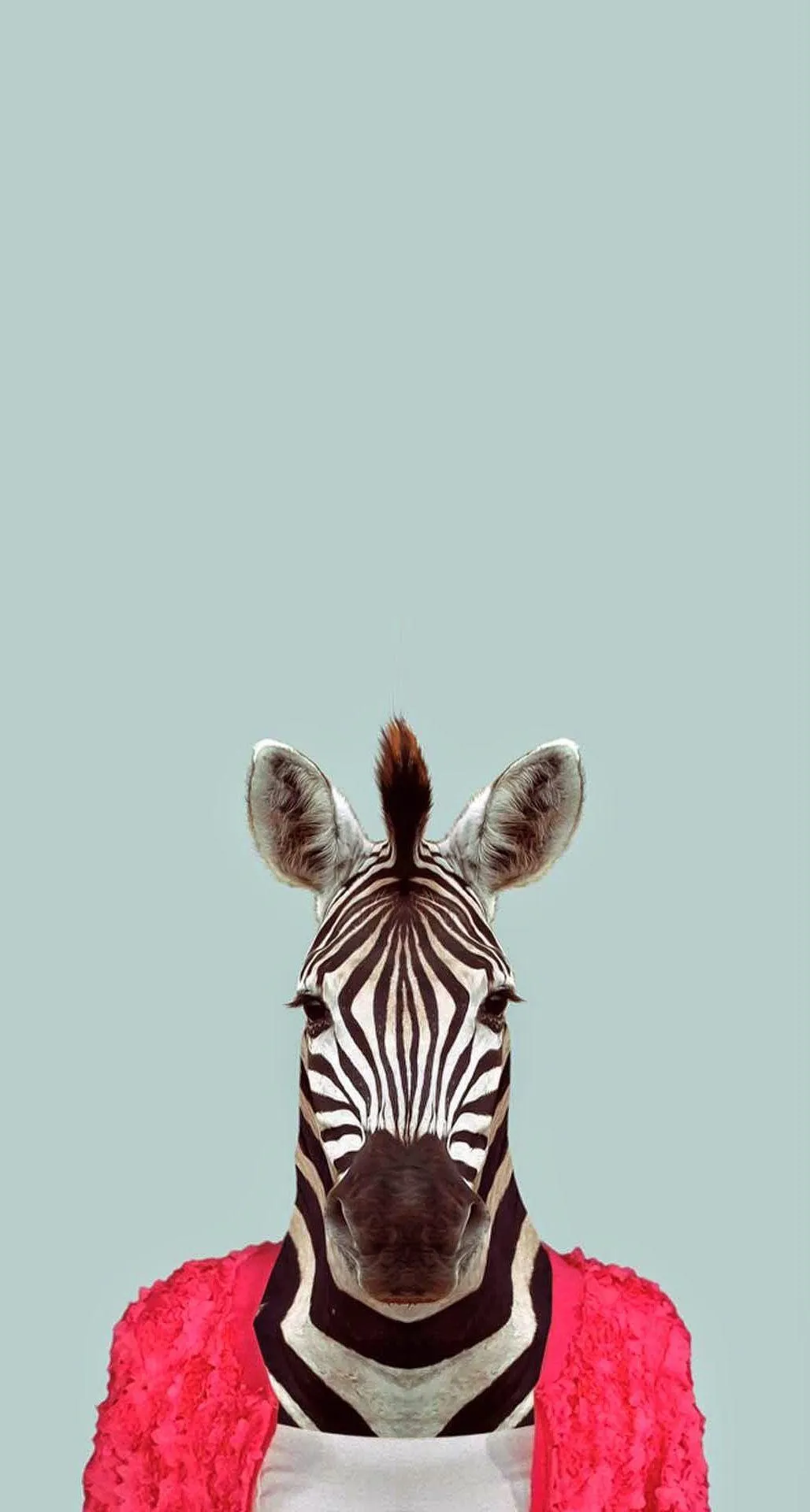 Funny Animal iPhone Wallpaper