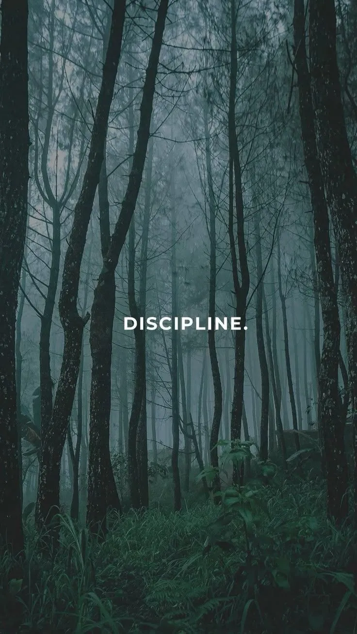 In the realm of success, discipline is the architect that constructs dreams into reality.”