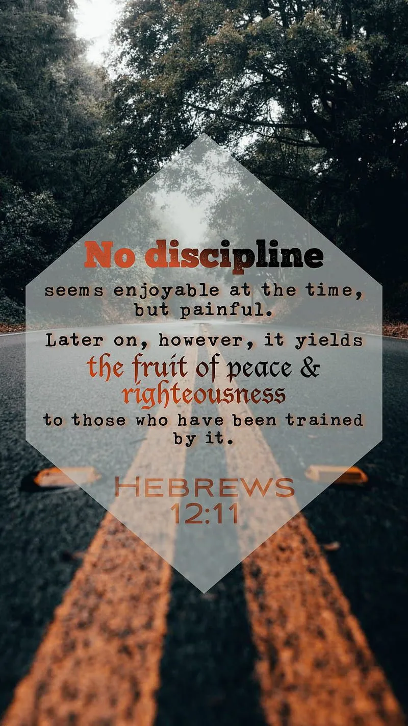 Discipline, bible, bible scripture, road, spiritual, HD phone wallpaper
