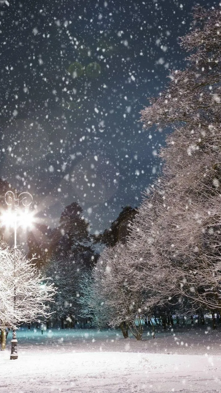 Snow Falling Live Wallpaper