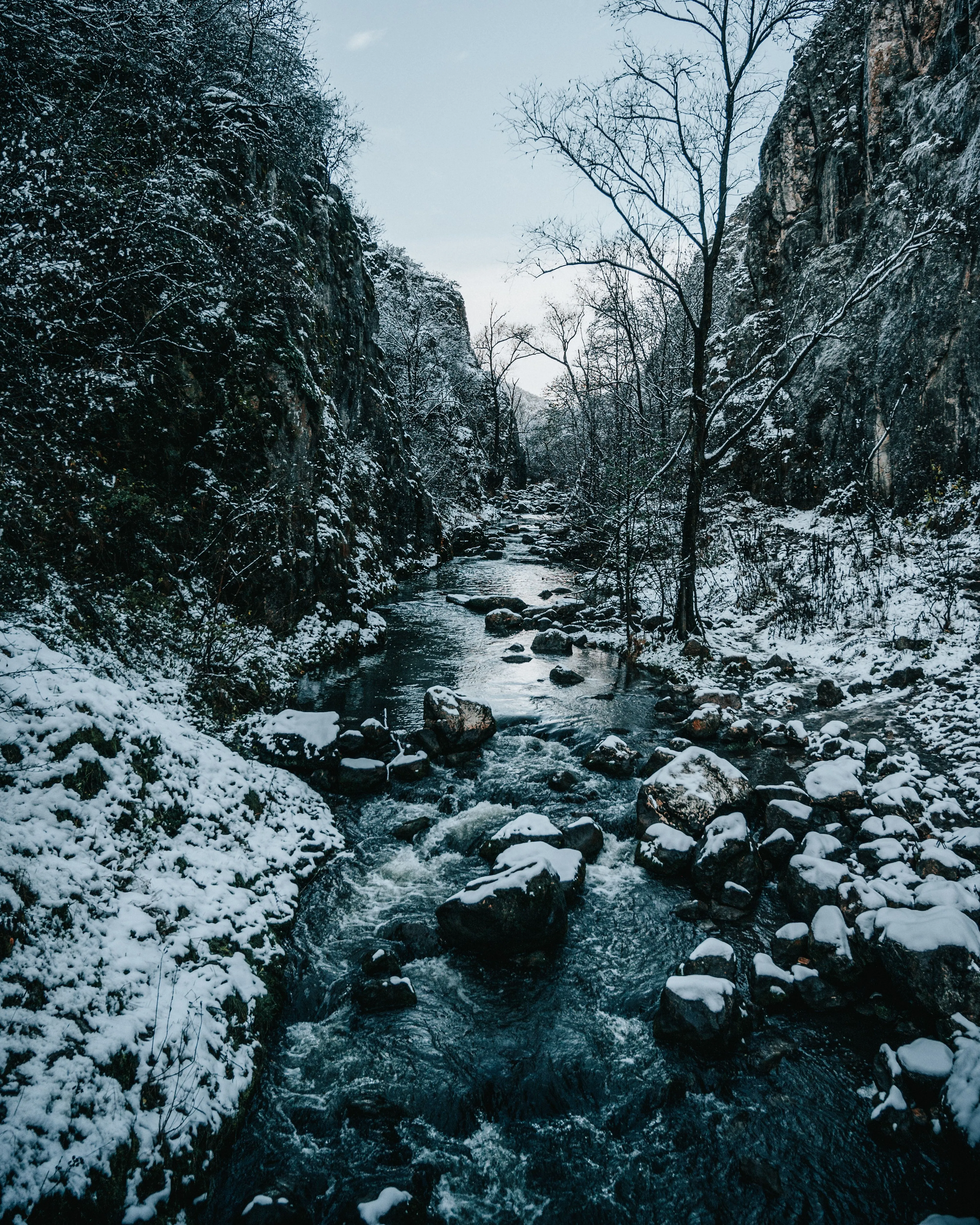 Snow Phone Wallpaper: Free 4K & HD Downloads