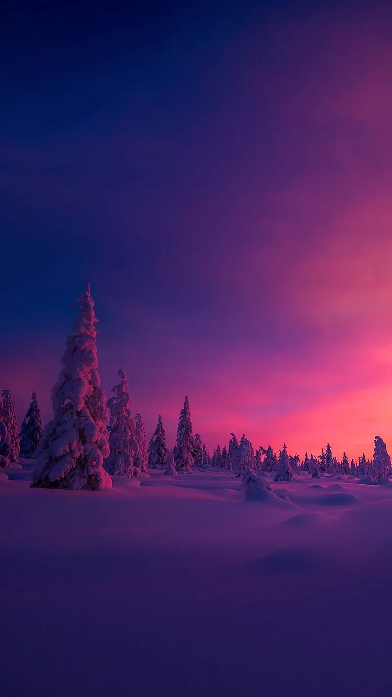 Winter Sunset, snow, HD phone wallpaper