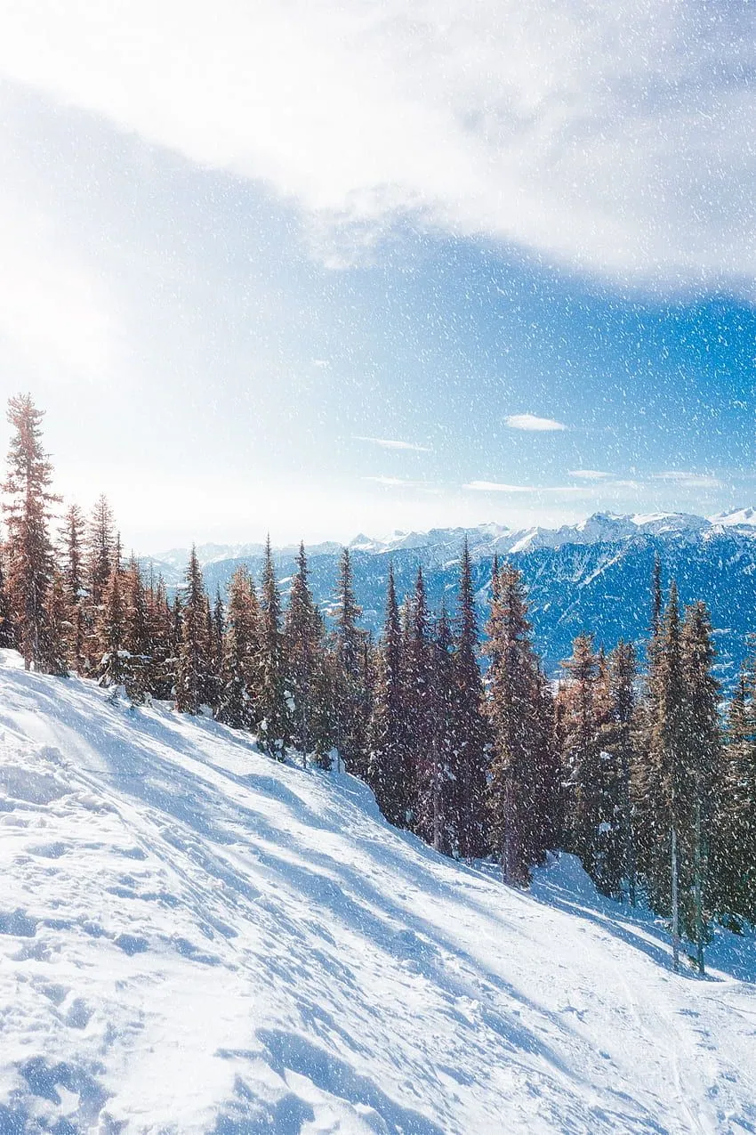 Winter, Nature, Trees, Mountains, Snow, Slope, Snowfall HD phone wallpaper
