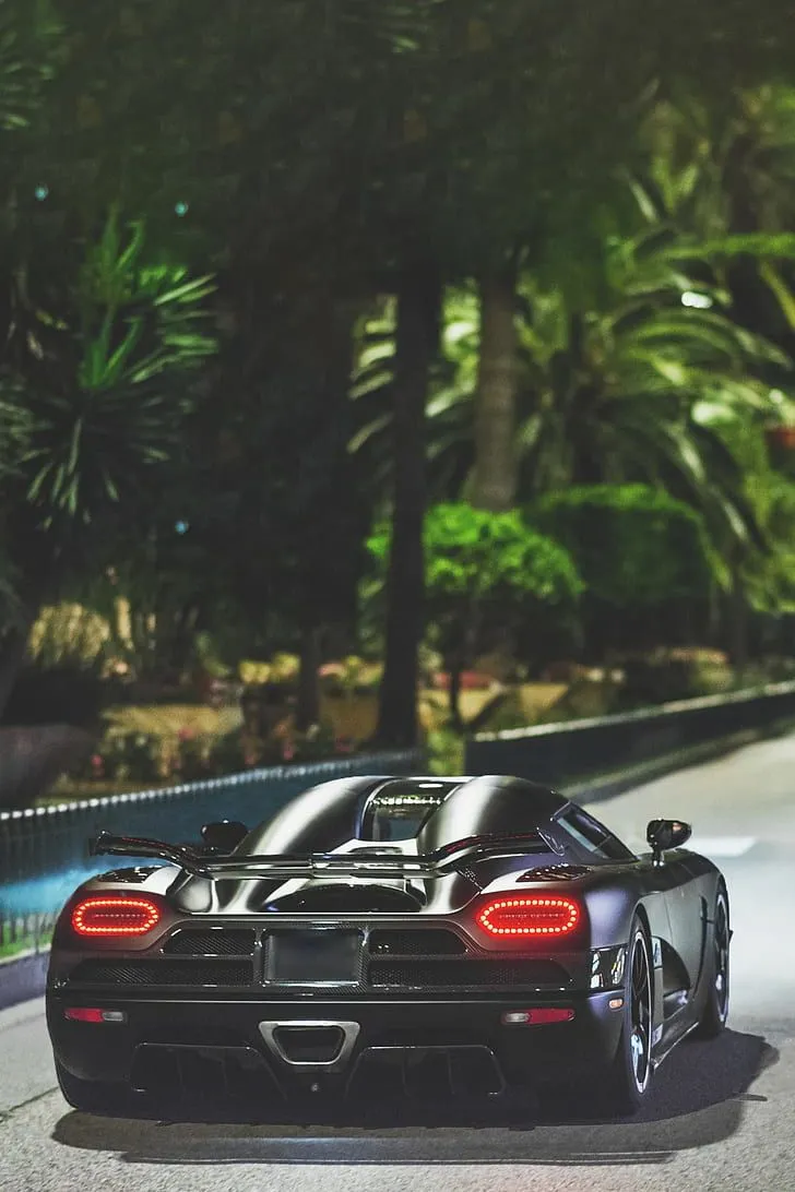 Car koenigsegg agera palm trees 1080P, 2K, 4K, 5K HD wallpaper free download