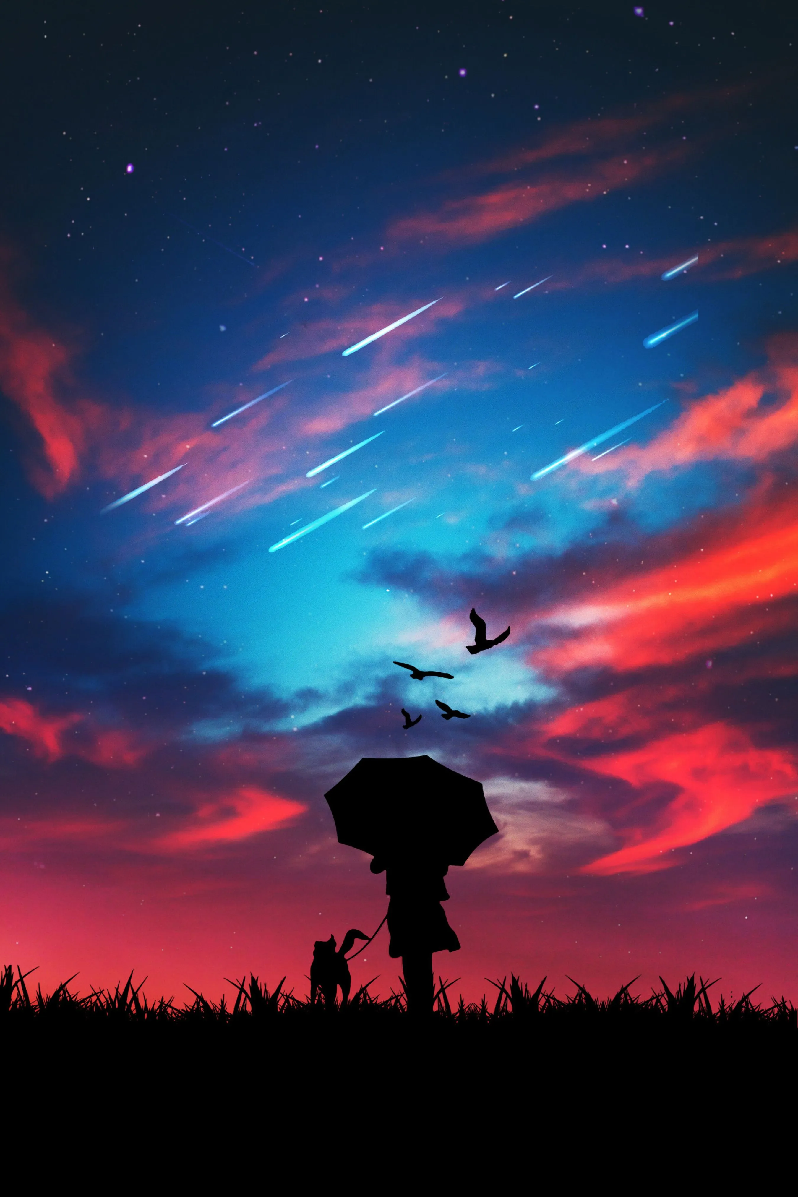 Phone wallpaper: Starfall, Stroll, Sky, Dark, Bright, Silhouette 59768
