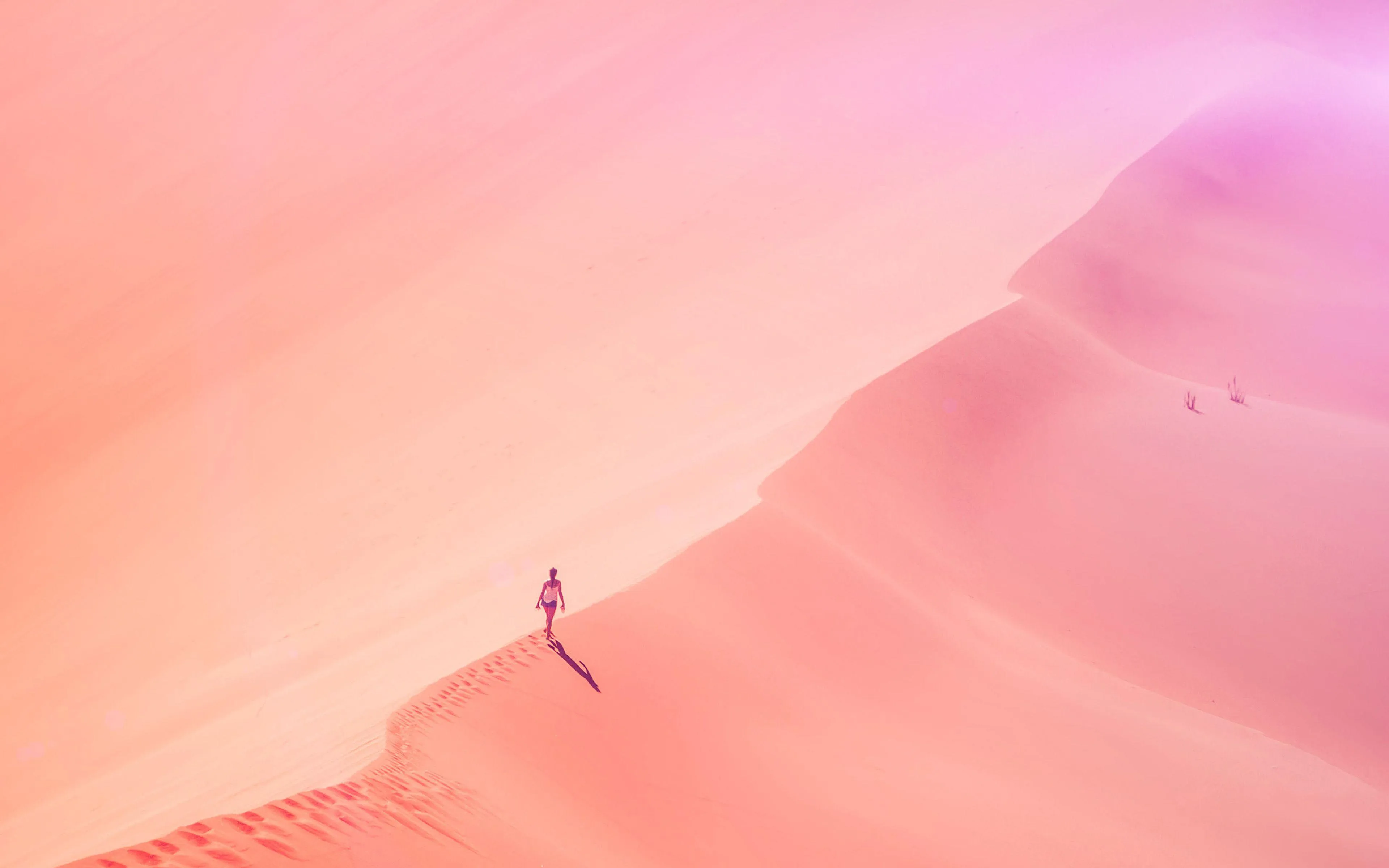 Pink Minimal Desktop Wallpaper
