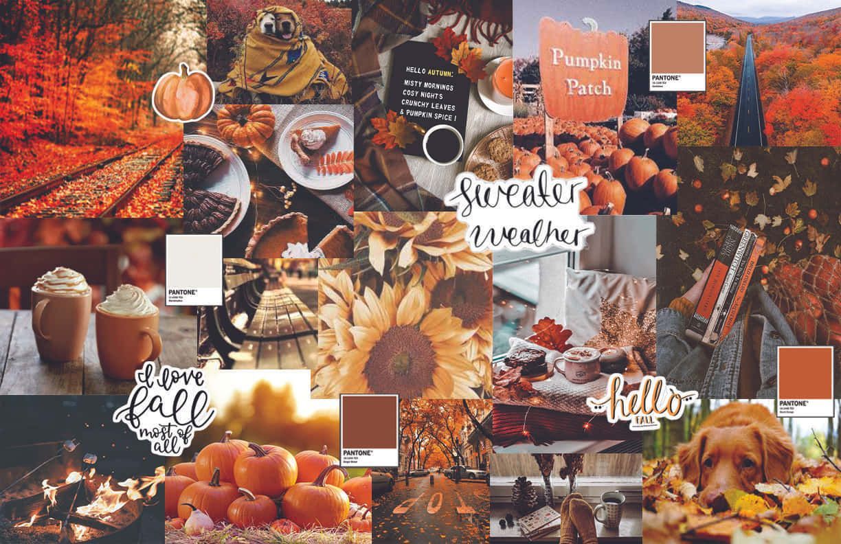 Autumn Collage Wallpaper, HD Background on WallpaperBat