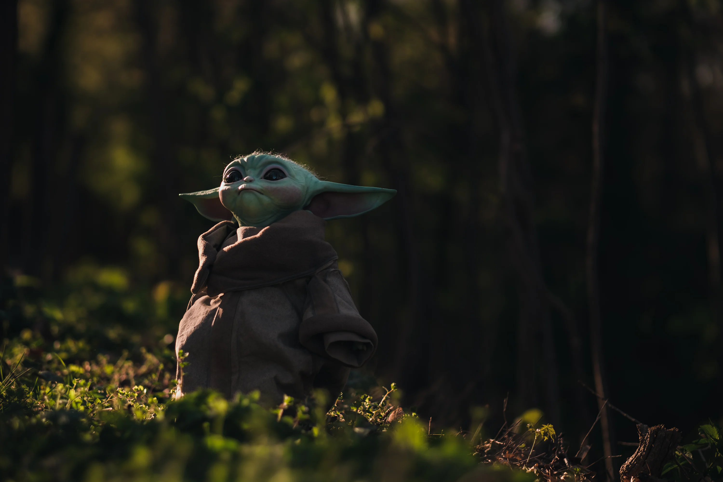 Grogu Picture. Download Free Image