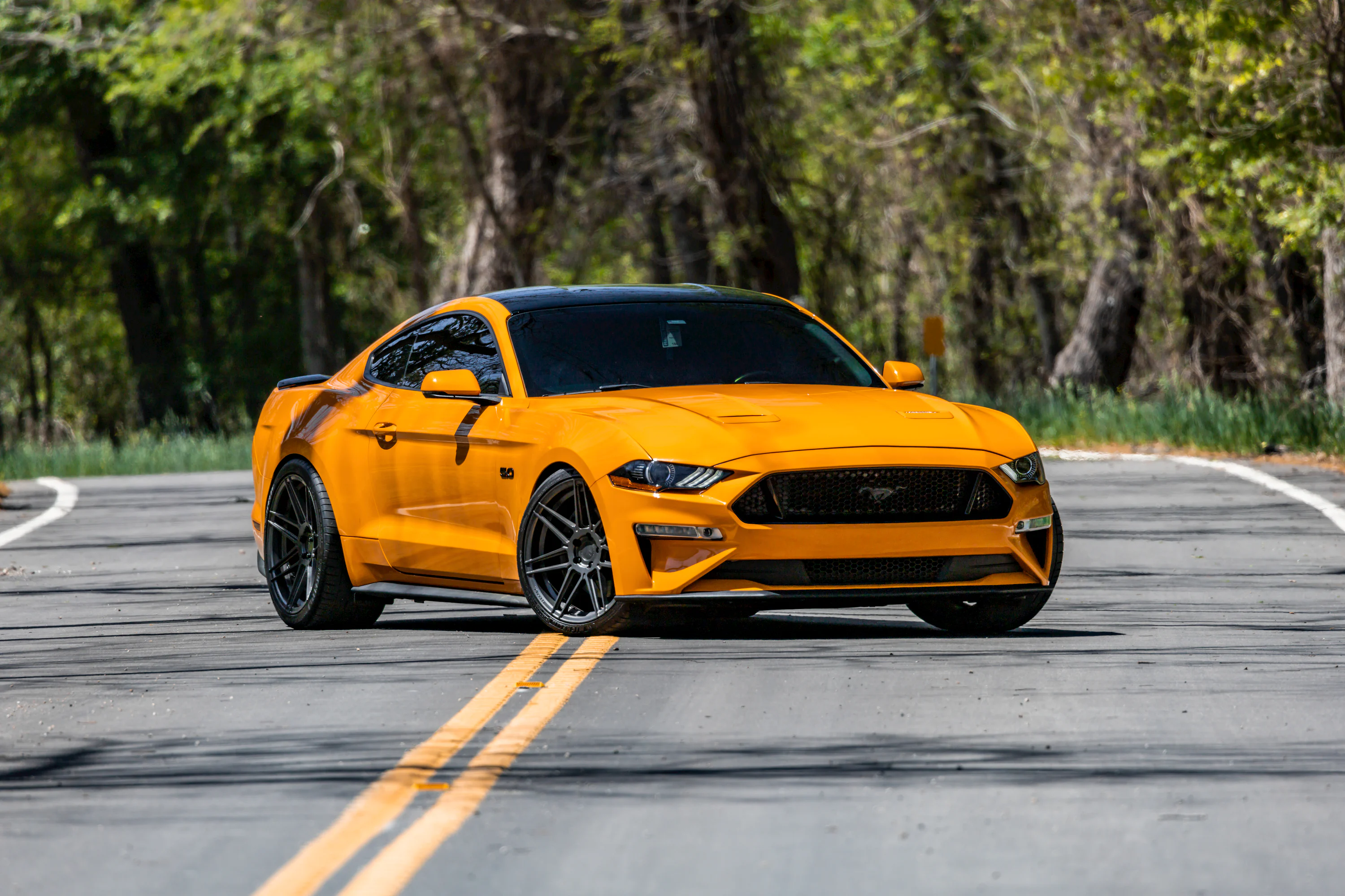 Mustang Wallpaper: Free HD Download [4K]
