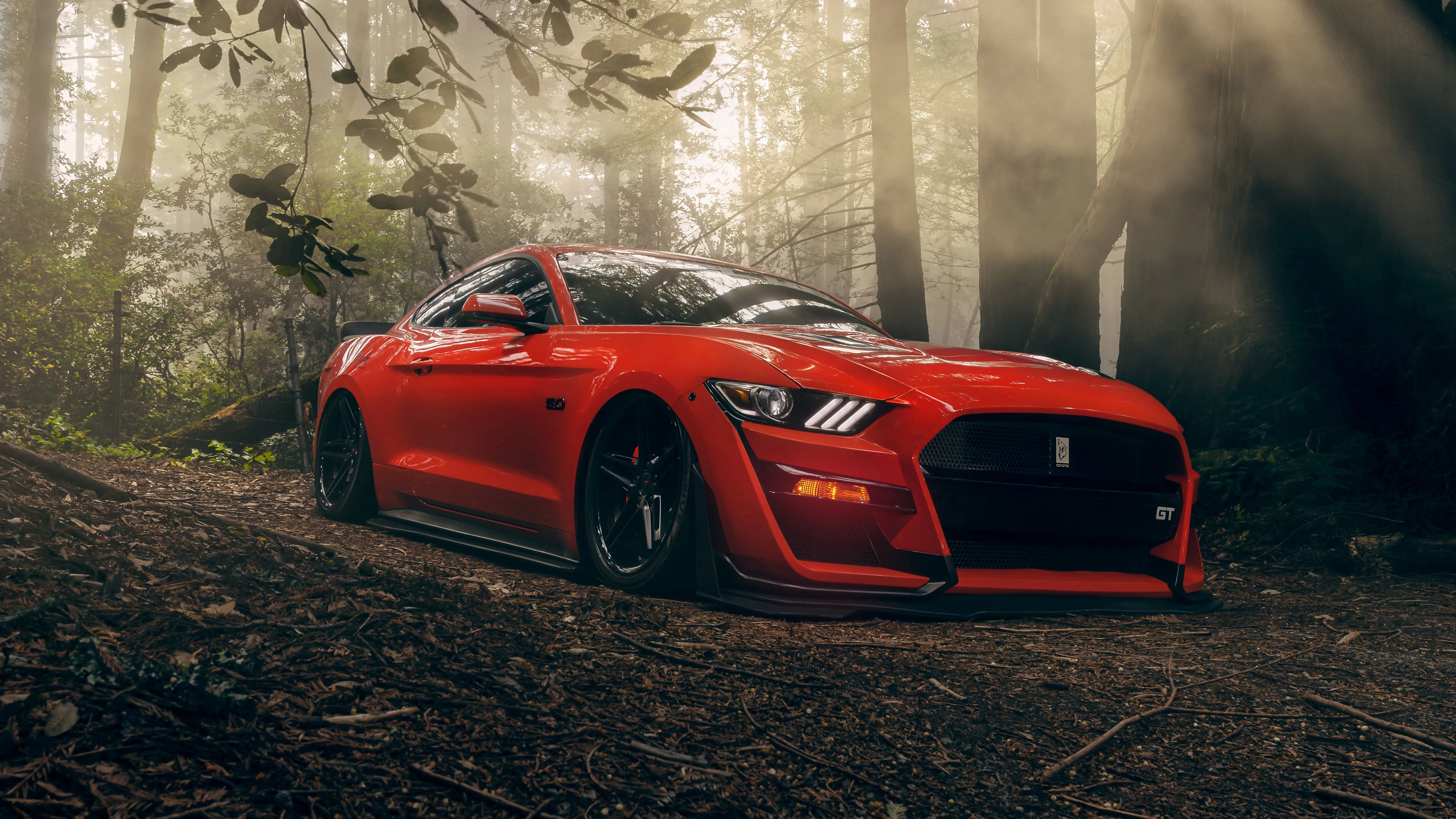 Red Ford Mustang GT car in the forest Desktop wallpaper 1920x1080